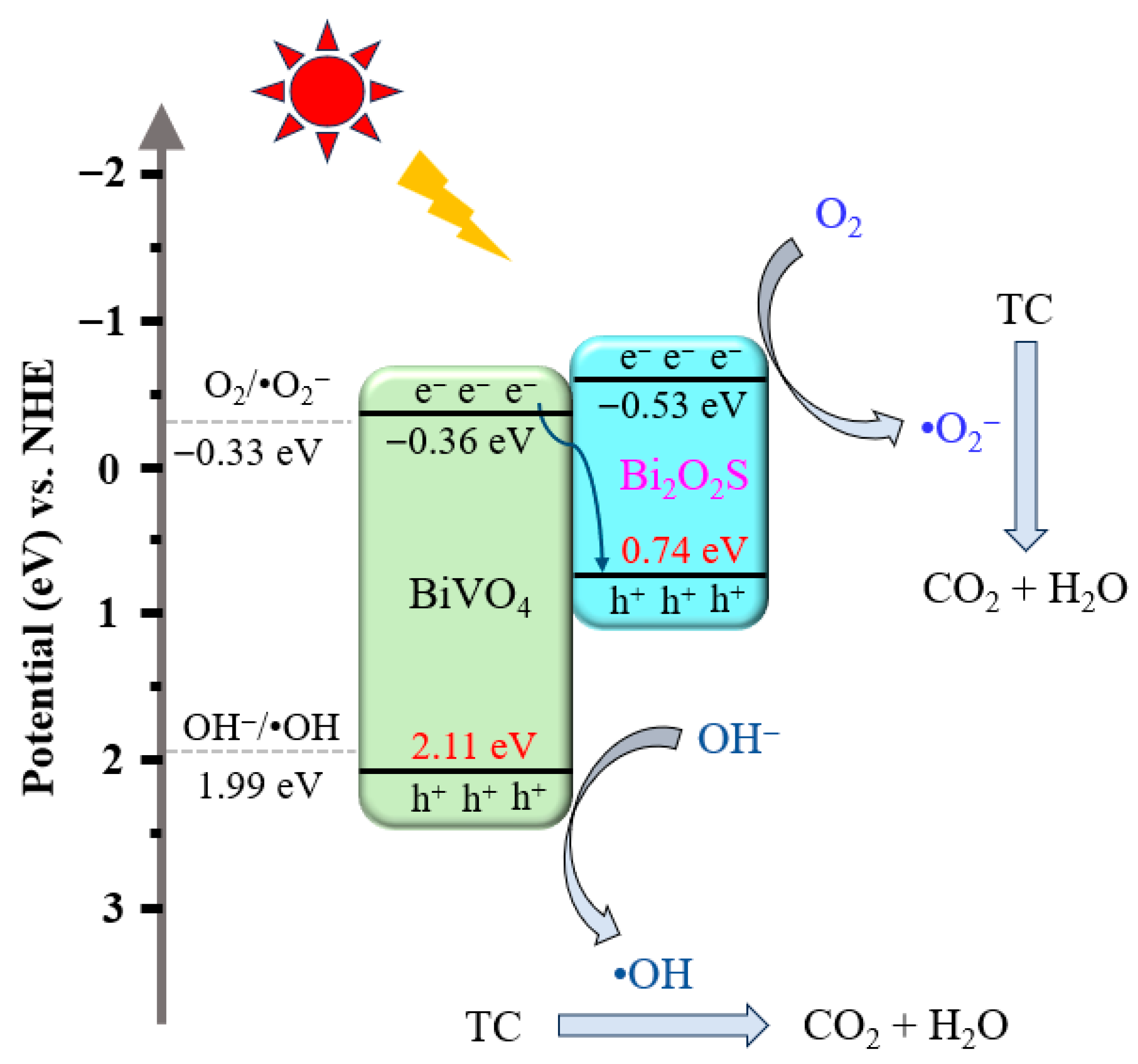 Molecules 31 00136 g014