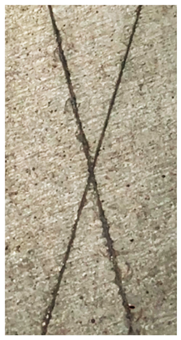 Molecules 31 00137 i002