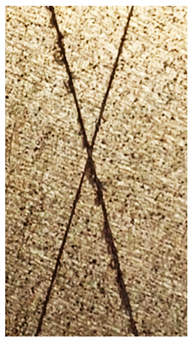 Molecules 31 00137 i006