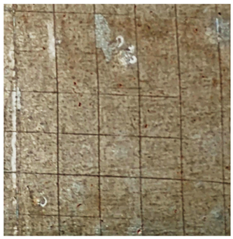 Molecules 31 00137 i007