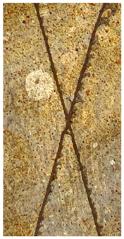 Molecules 31 00137 i010