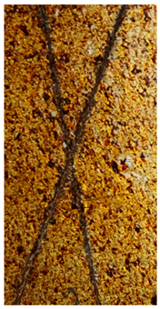 Molecules 31 00137 i012