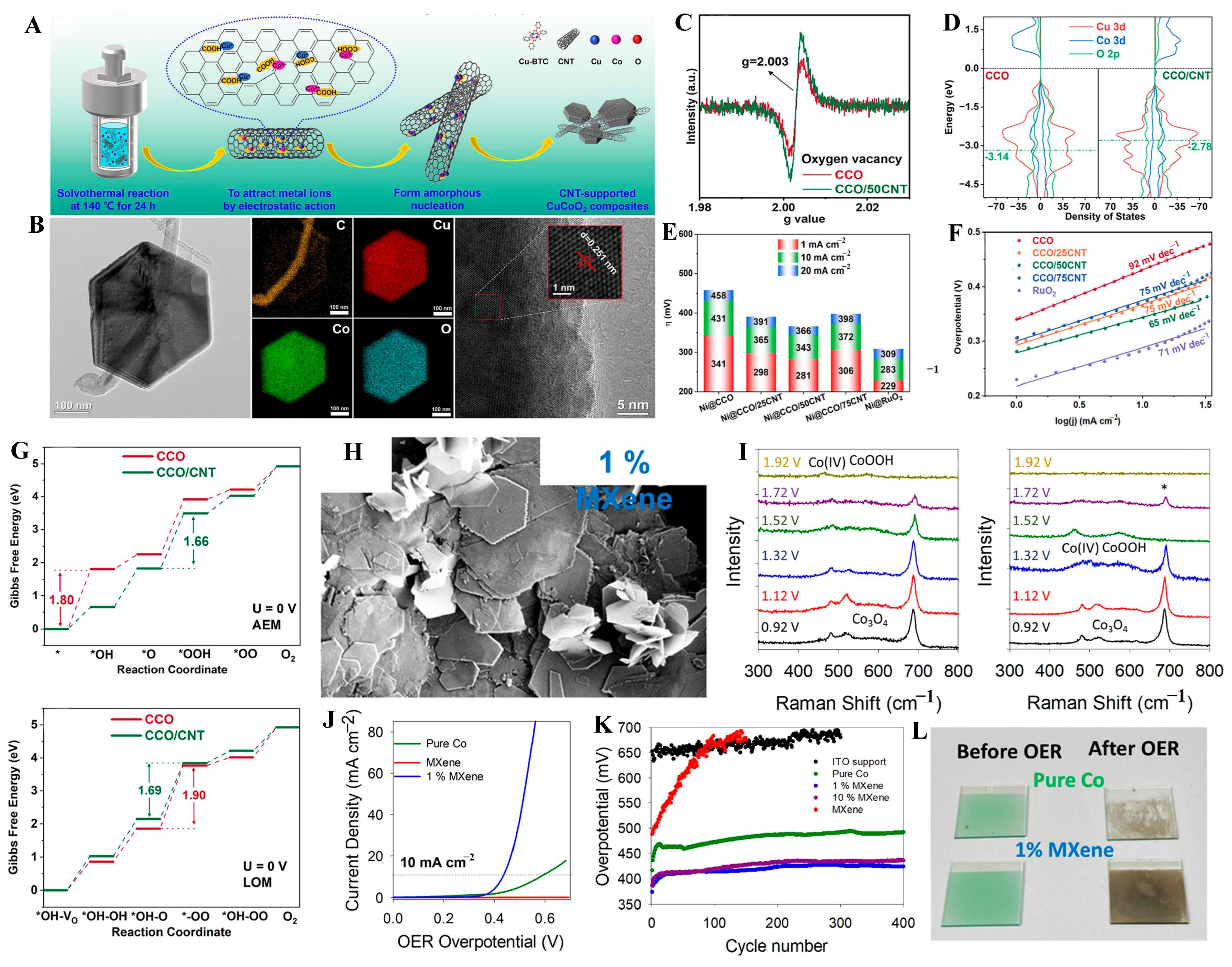 Molecules 31 00147 g005