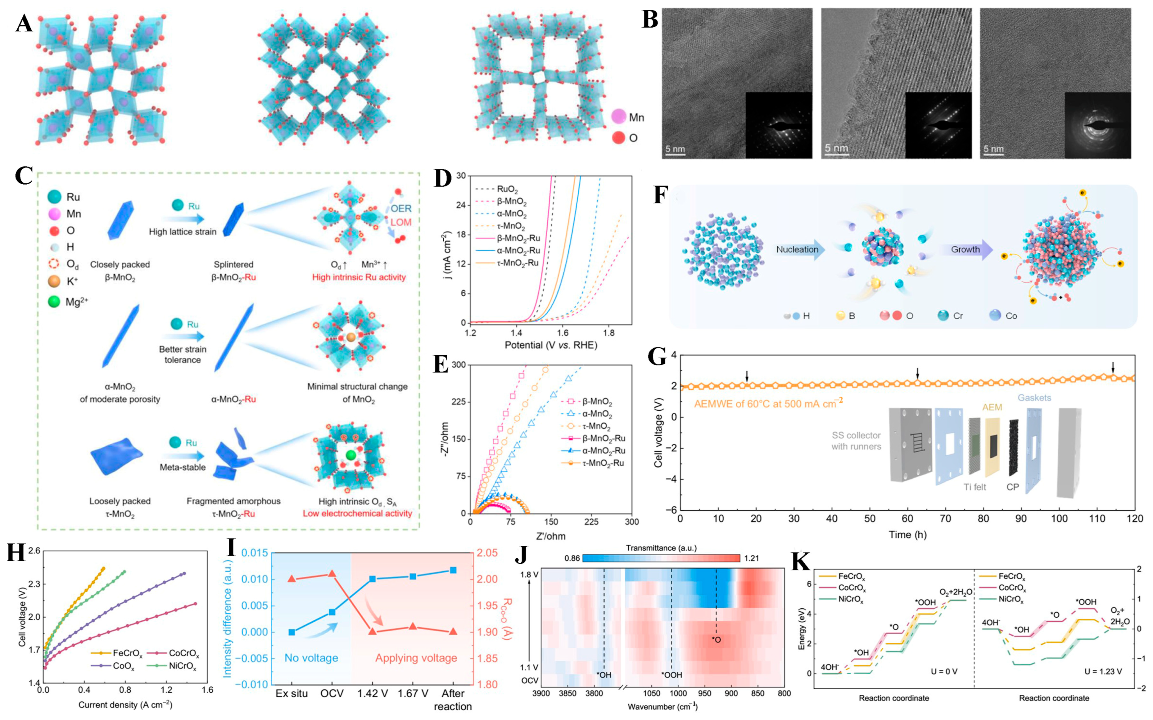Molecules 31 00147 g006