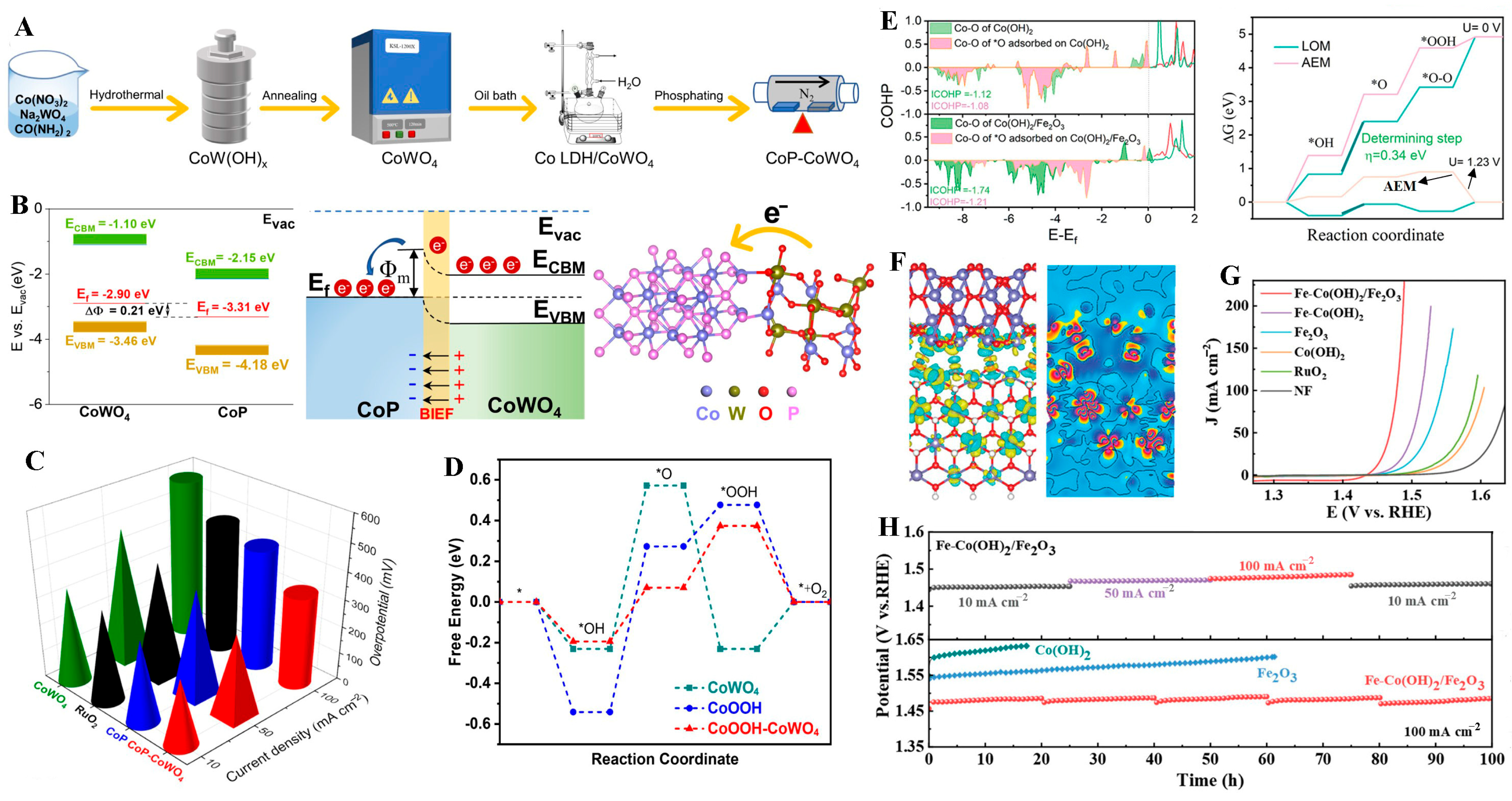 Molecules 31 00147 g008
