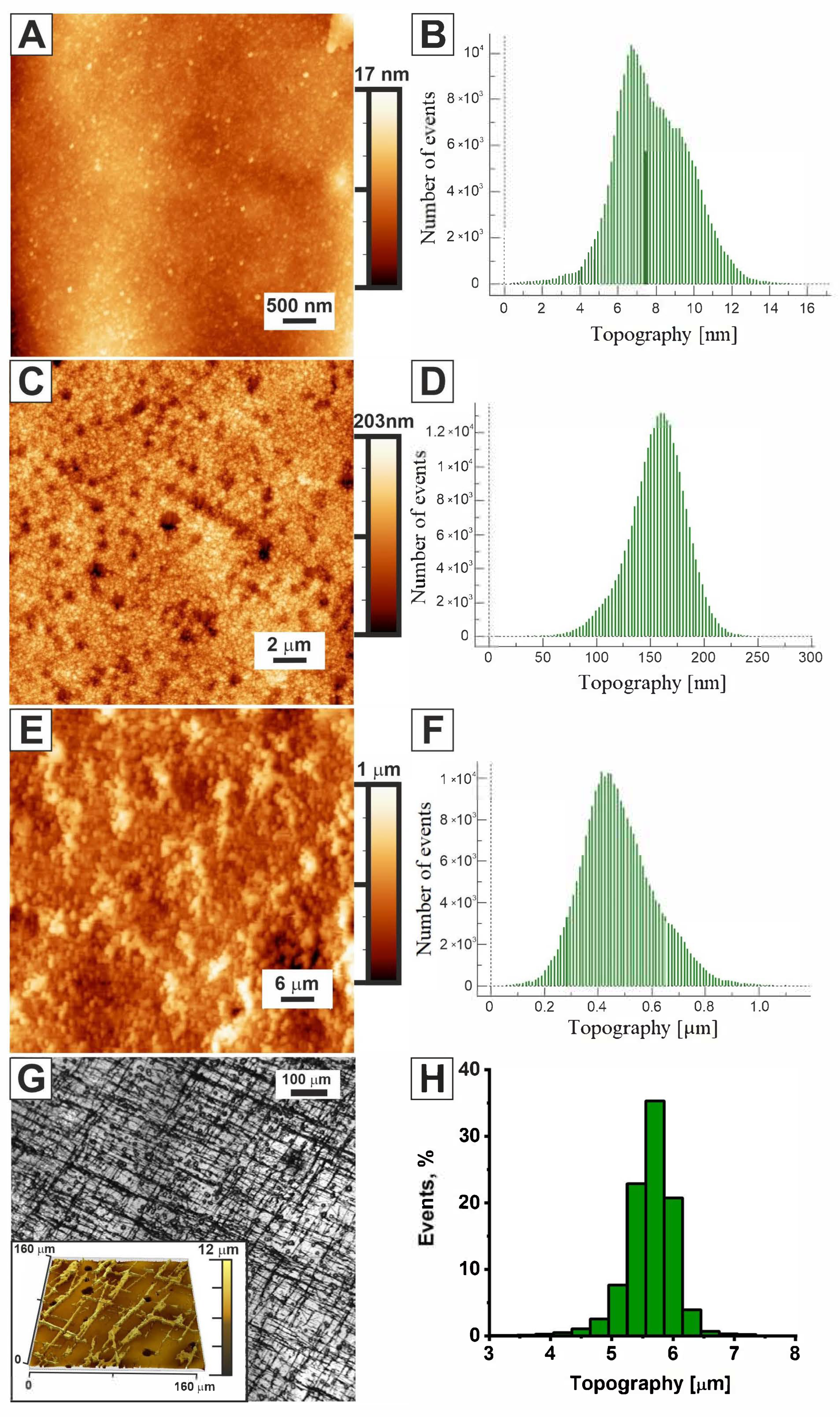 Molecules 31 00150 g001