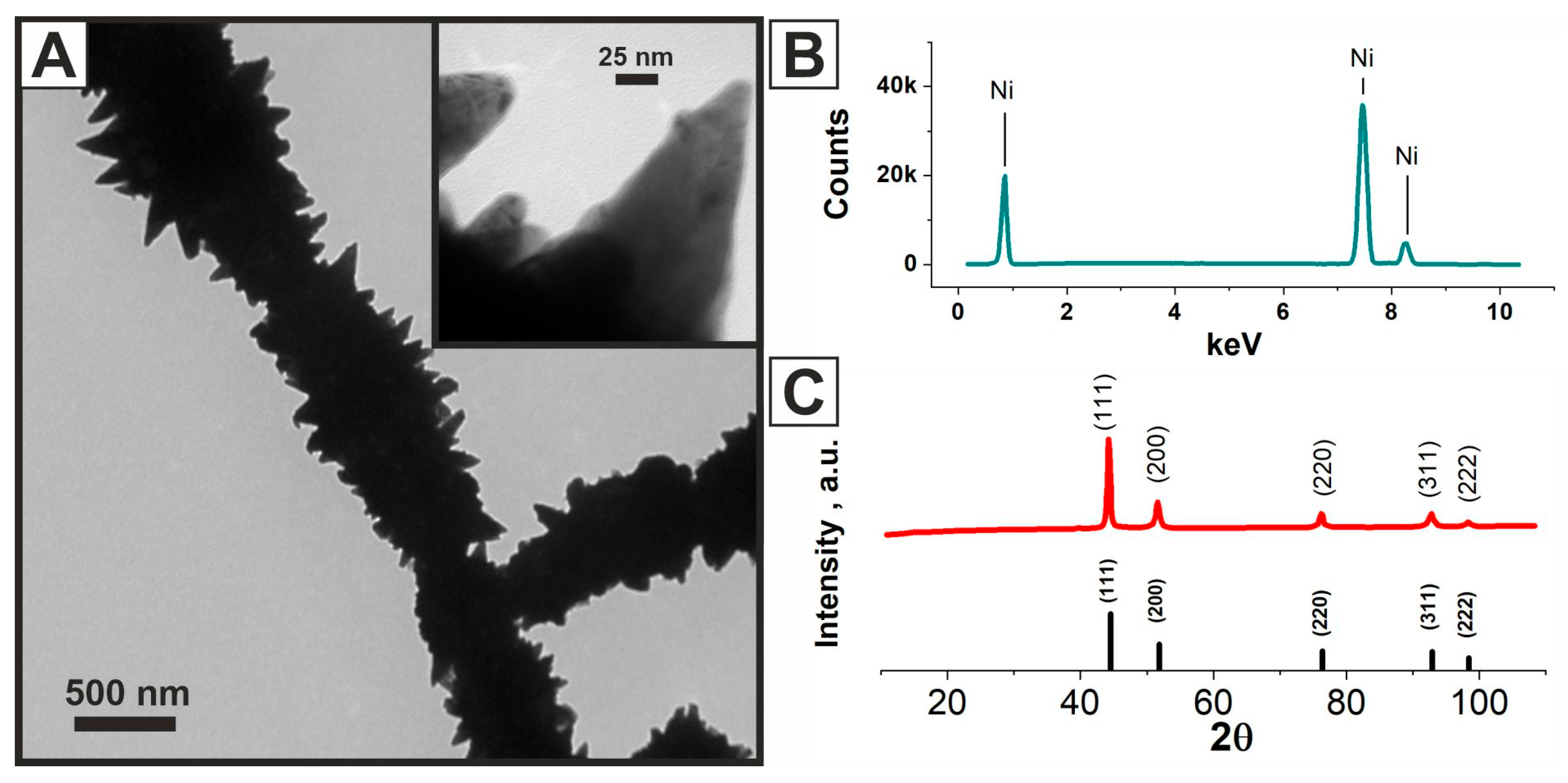 Molecules 31 00150 g002