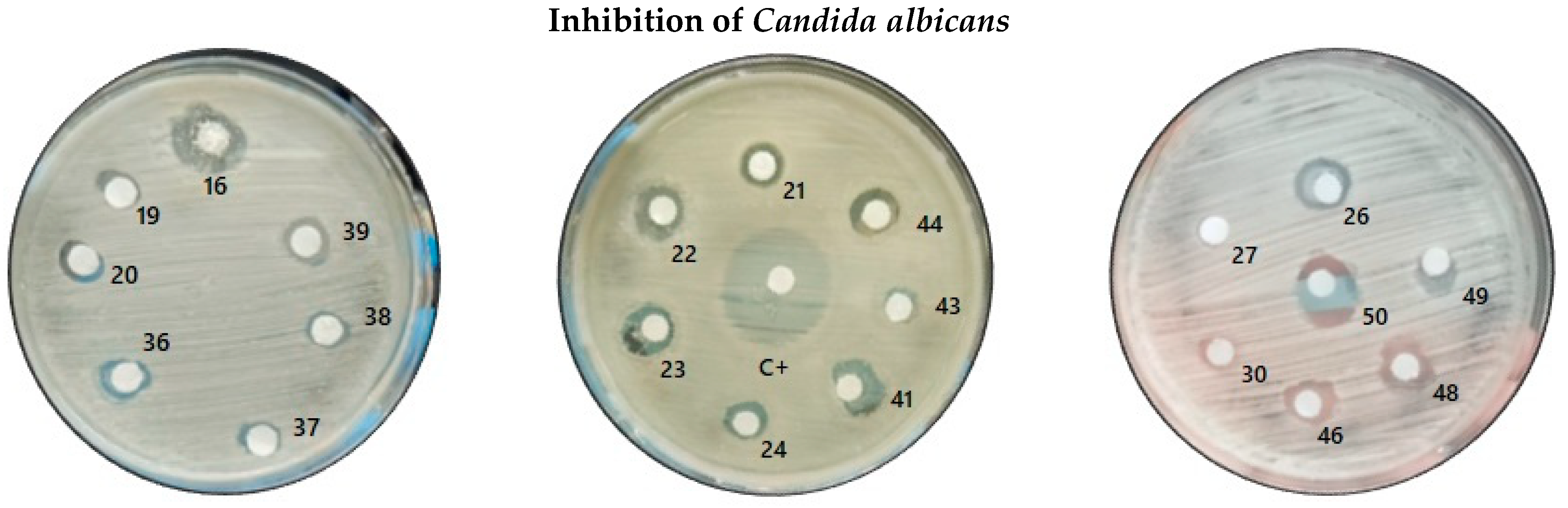 Molecules 31 00170 g004a