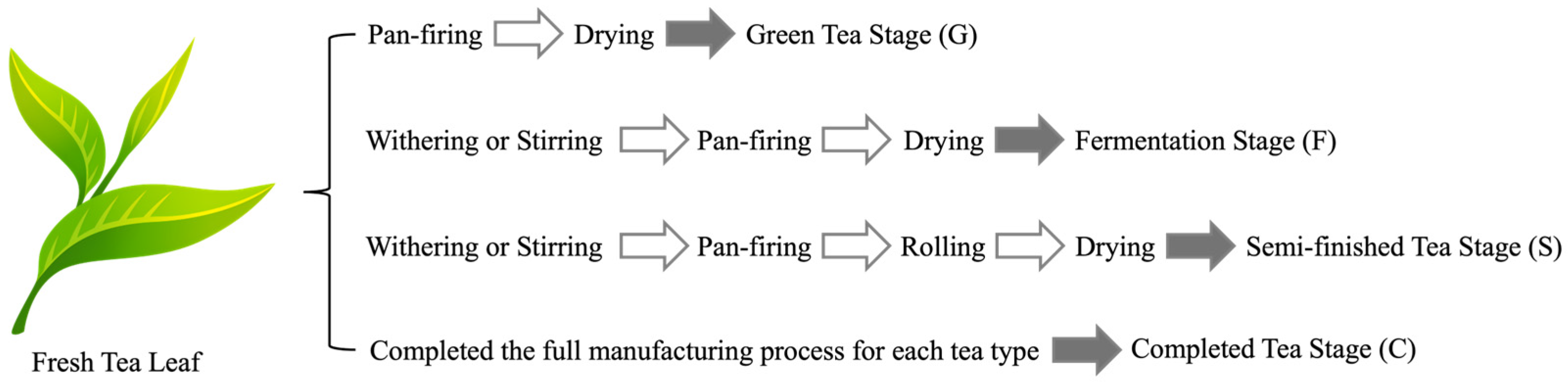 Molecules 31 00171 g001