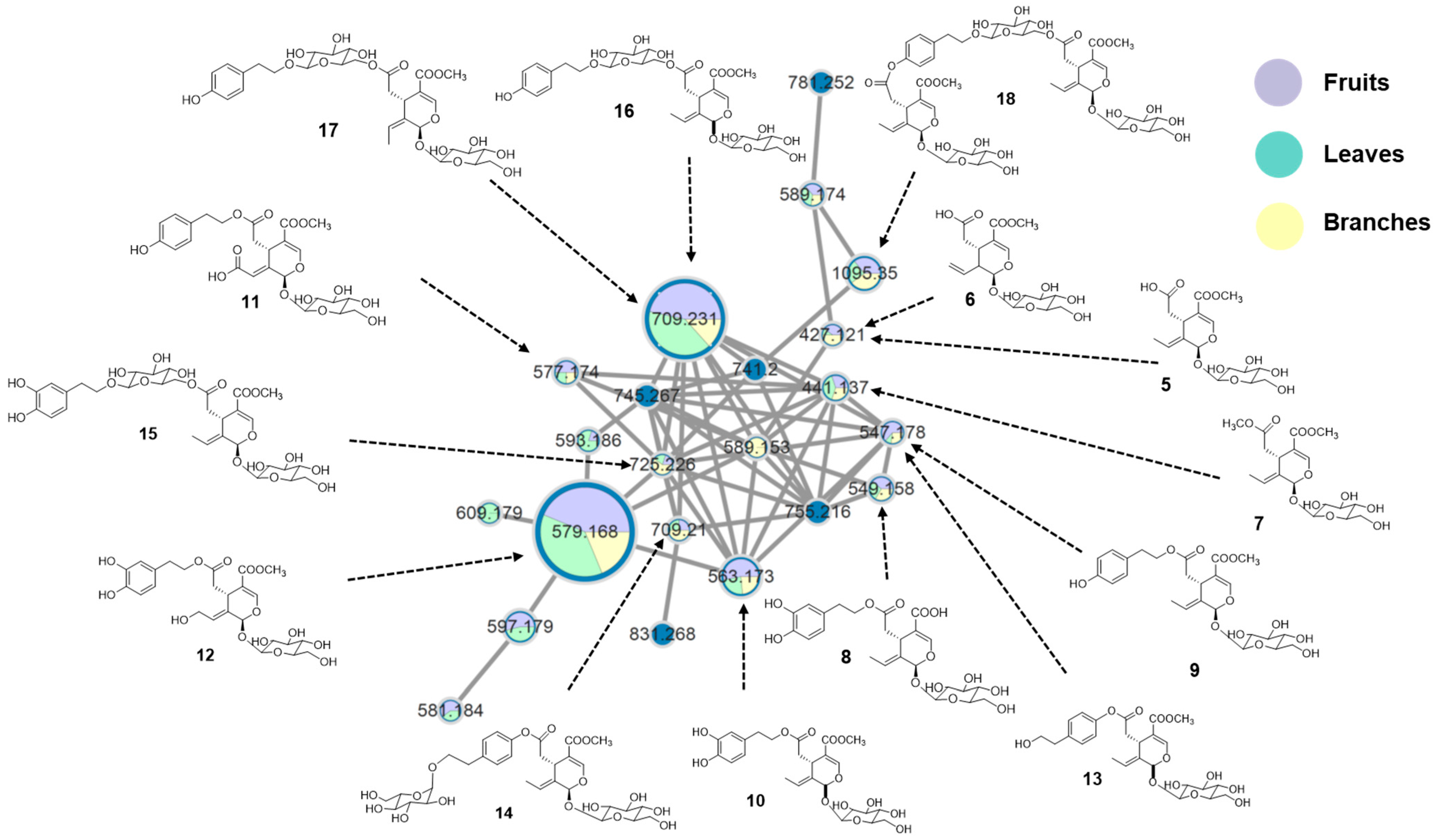 Molecules 31 00174 g001 Molecules 31 00174 g001