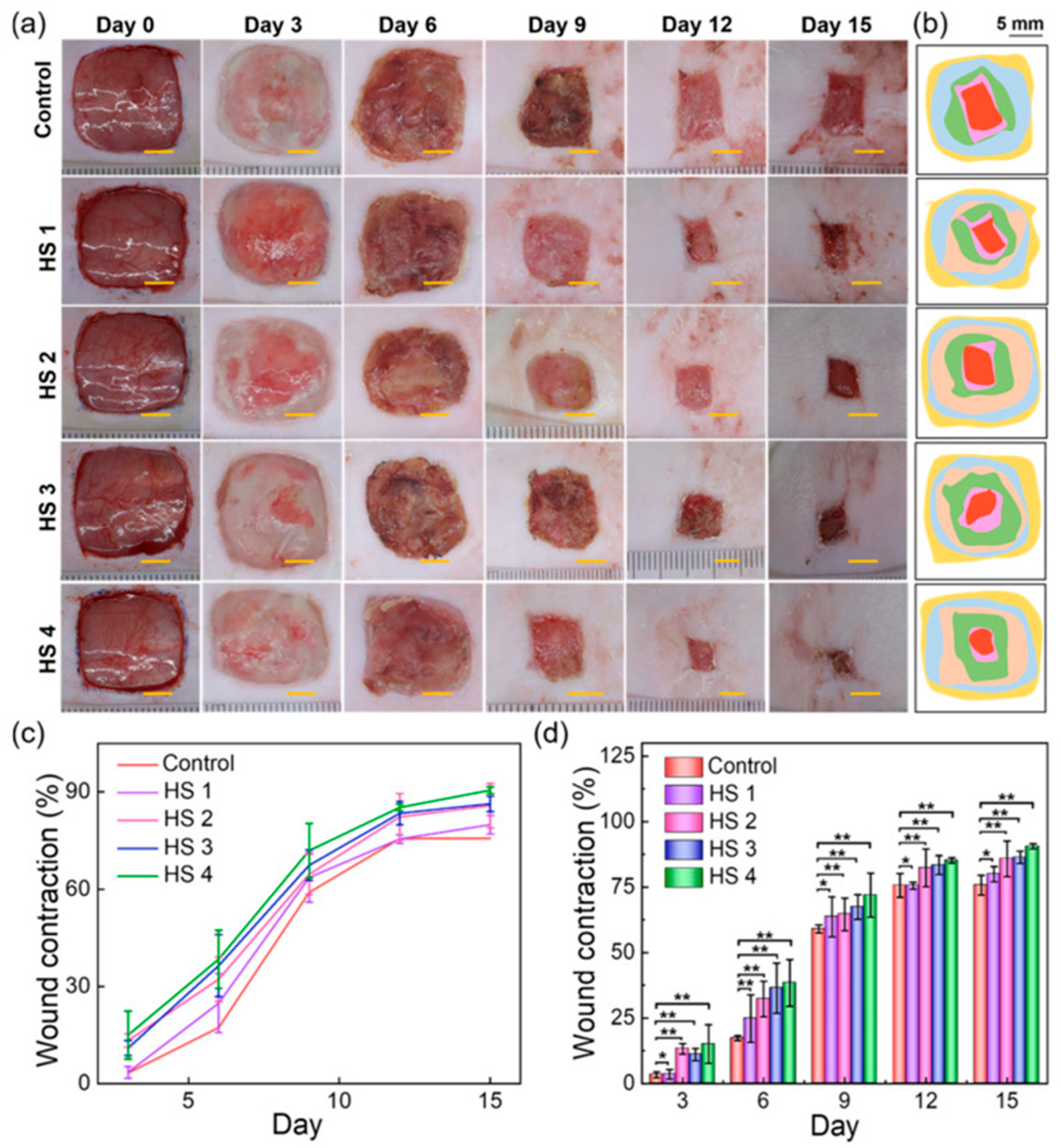 Molecules 31 00175 g005