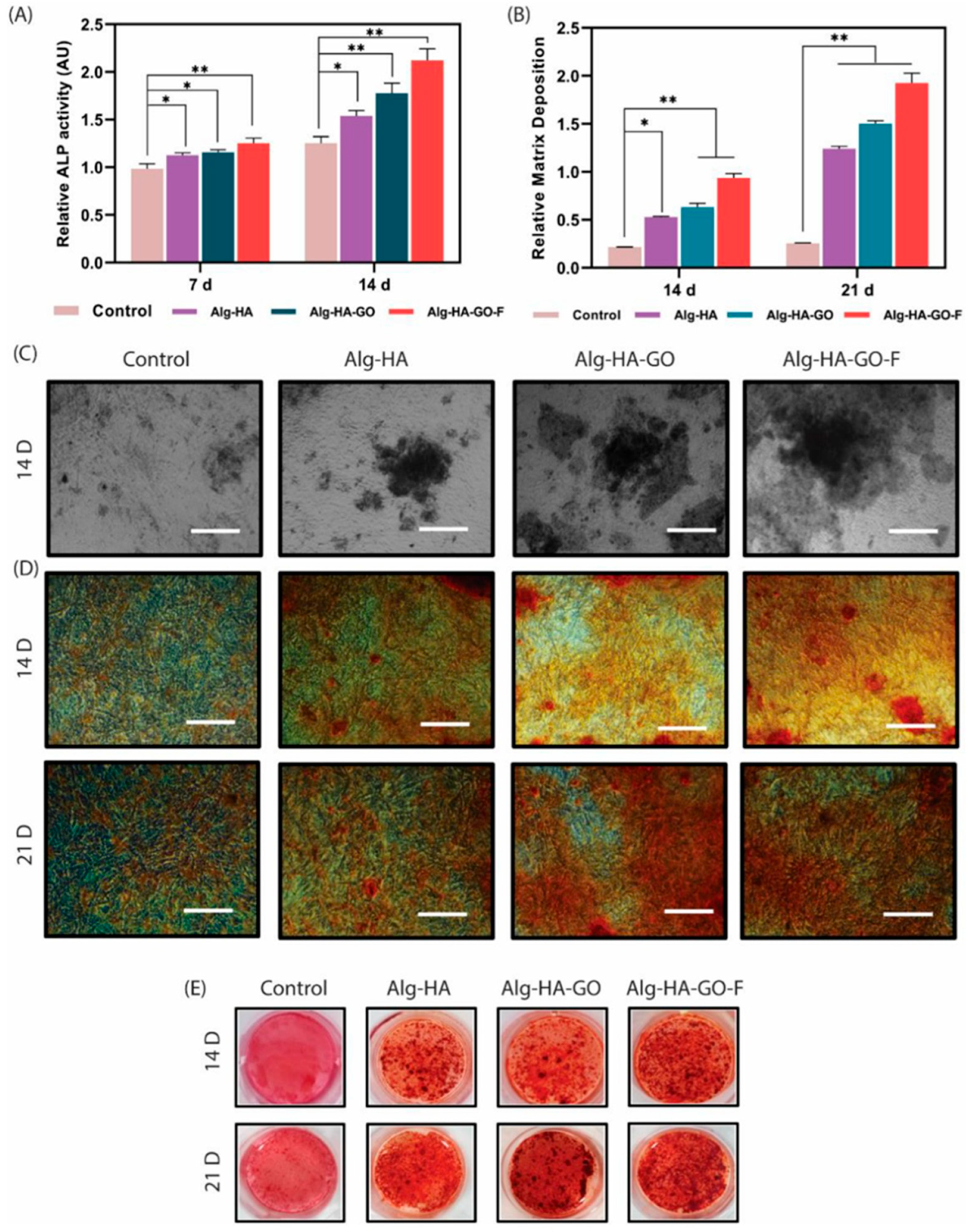 Molecules 31 00175 g006