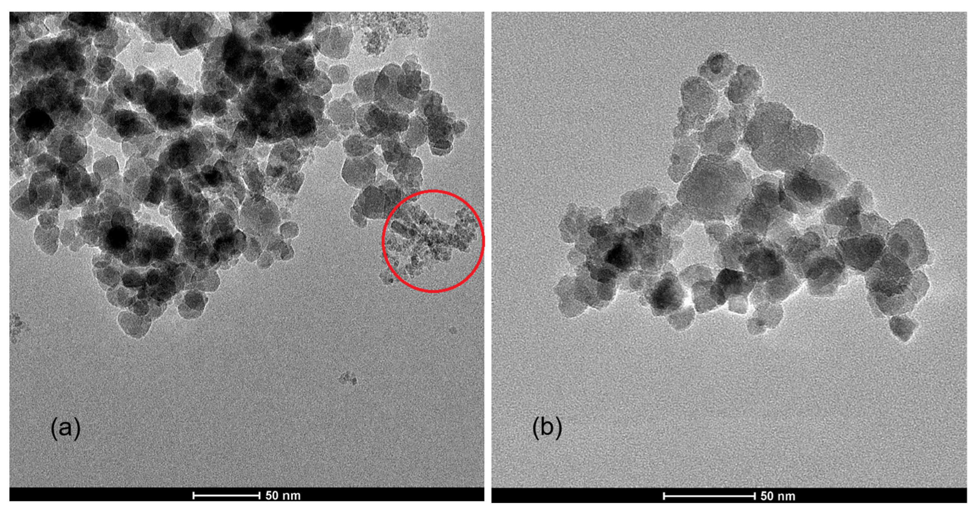 Molecules 31 00177 g003
