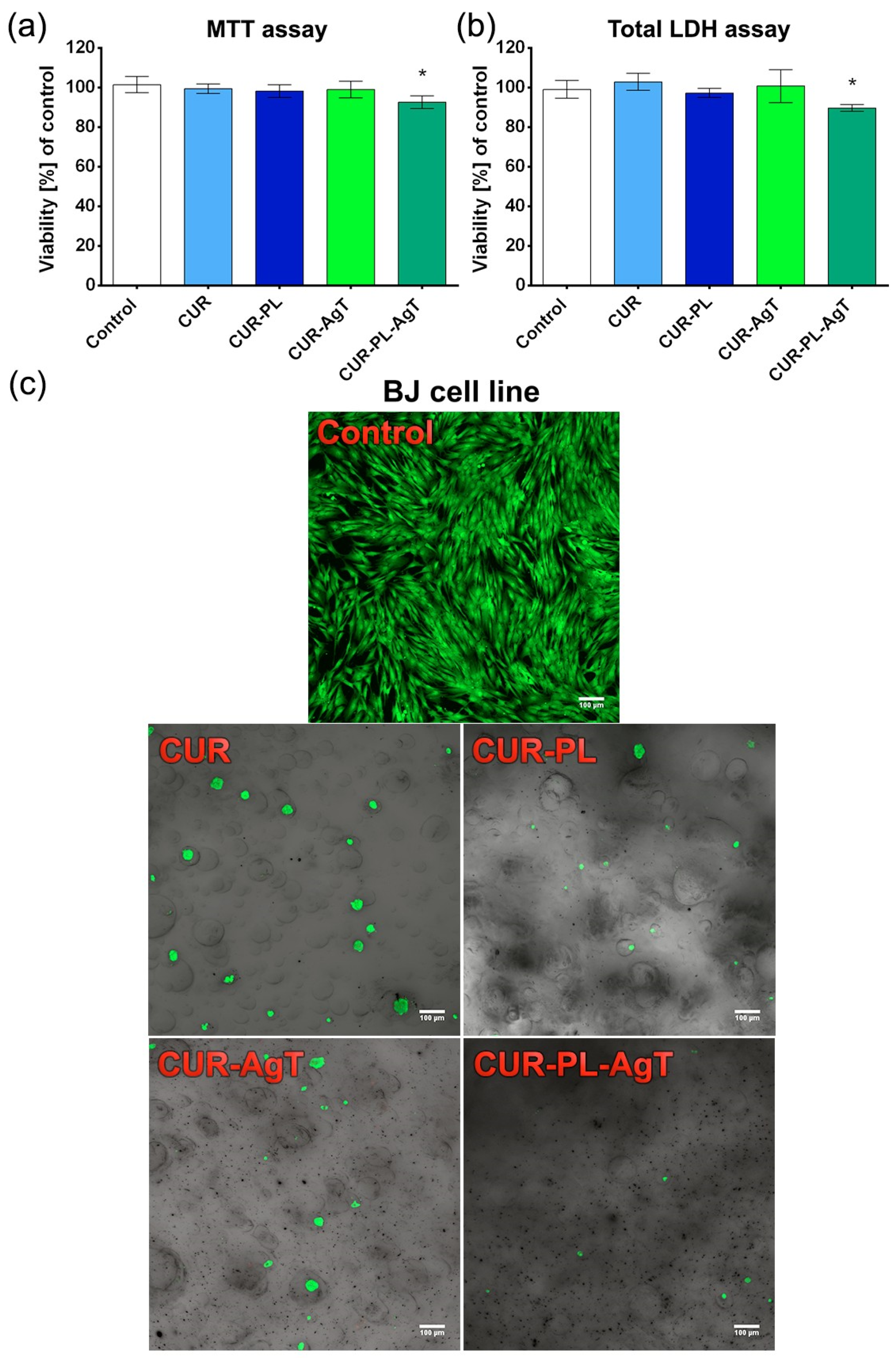 Molecules 31 00181 g005 Molecules 31 00181 g005
