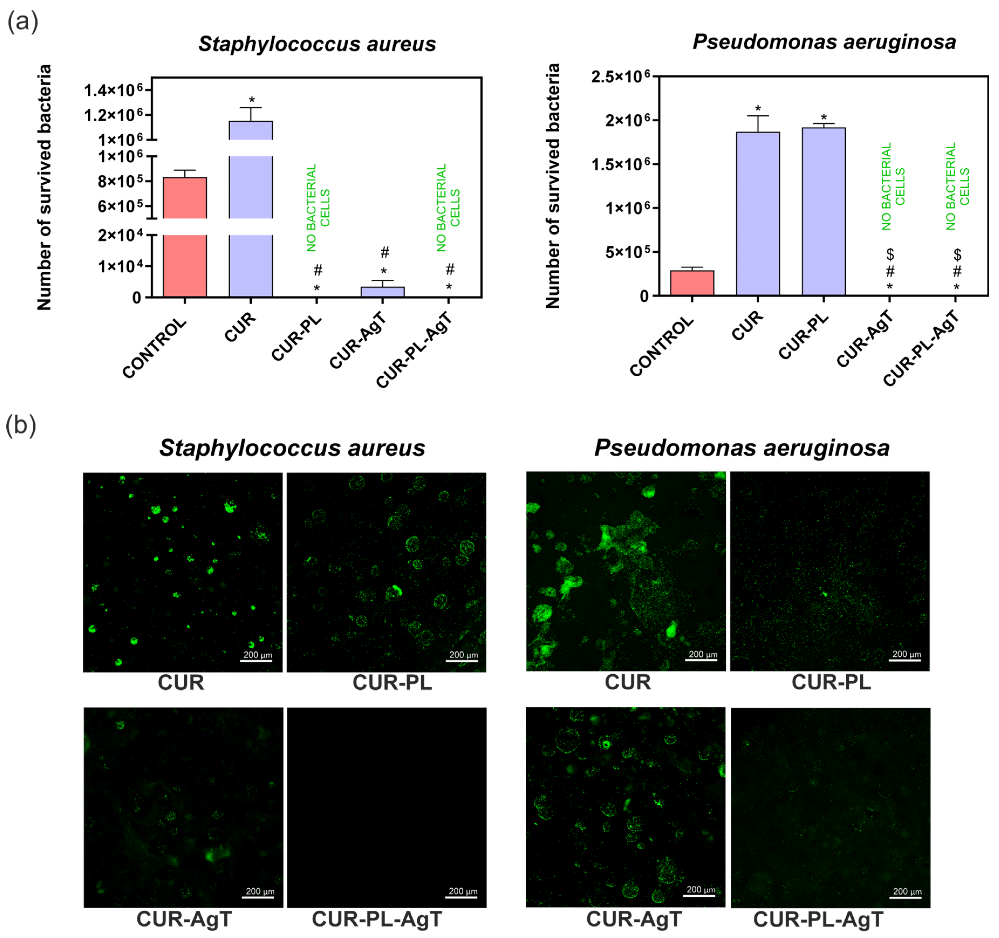 Molecules 31 00181 g008 Molecules 31 00181 g008