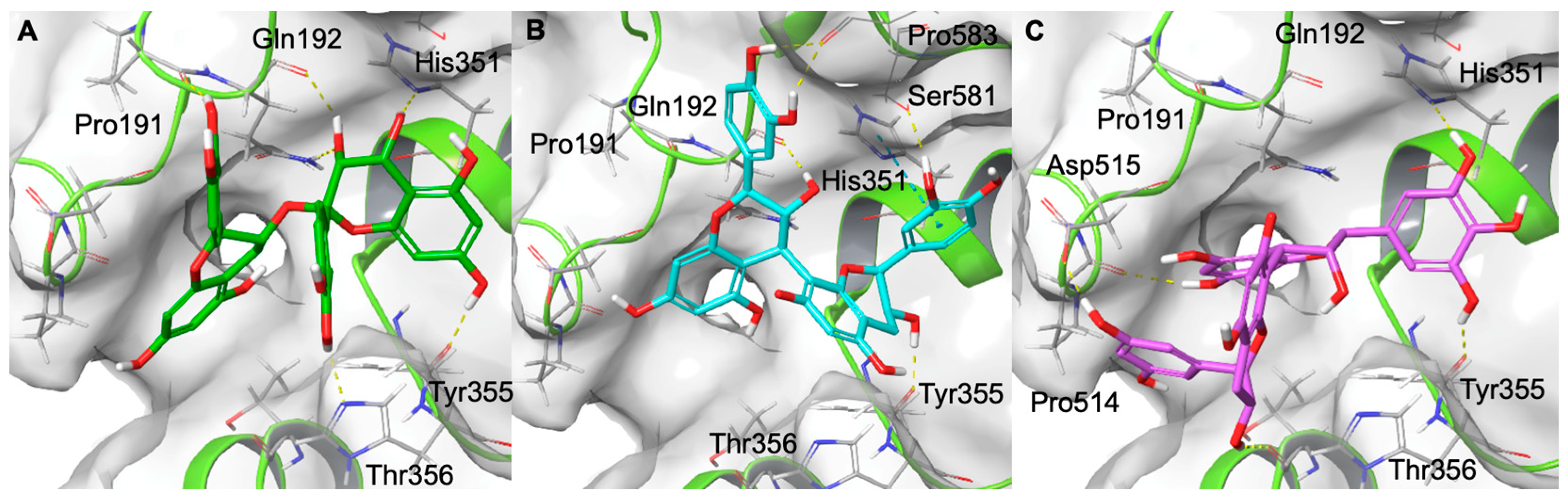 Molecules 31 00184 g005 Molecules 31 00184 g005