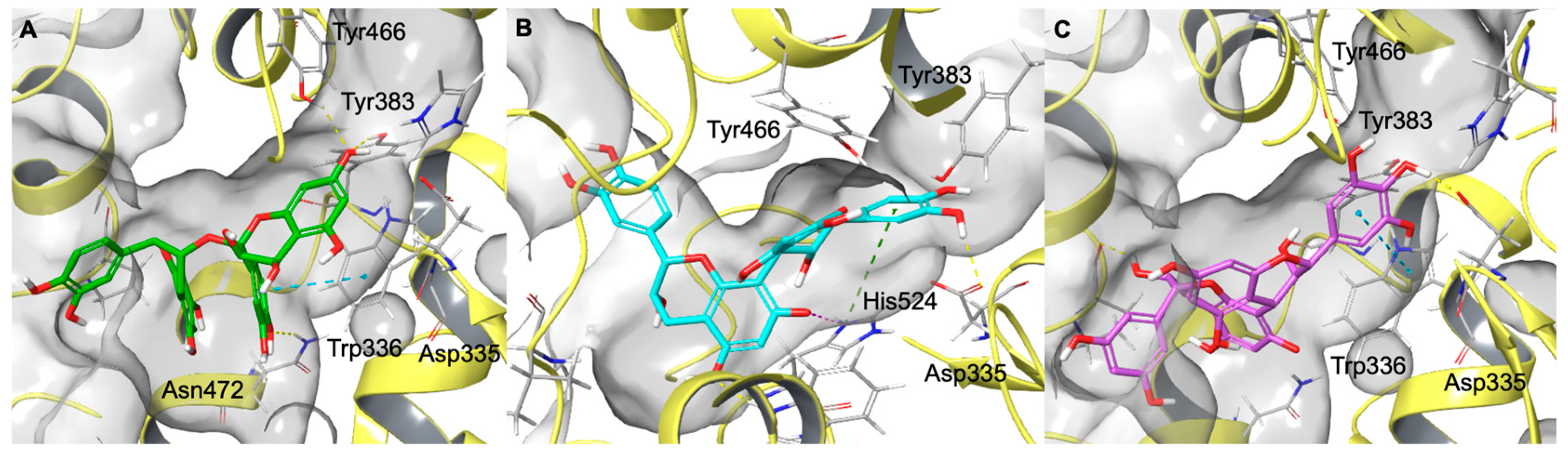Molecules 31 00184 g006 Molecules 31 00184 g006