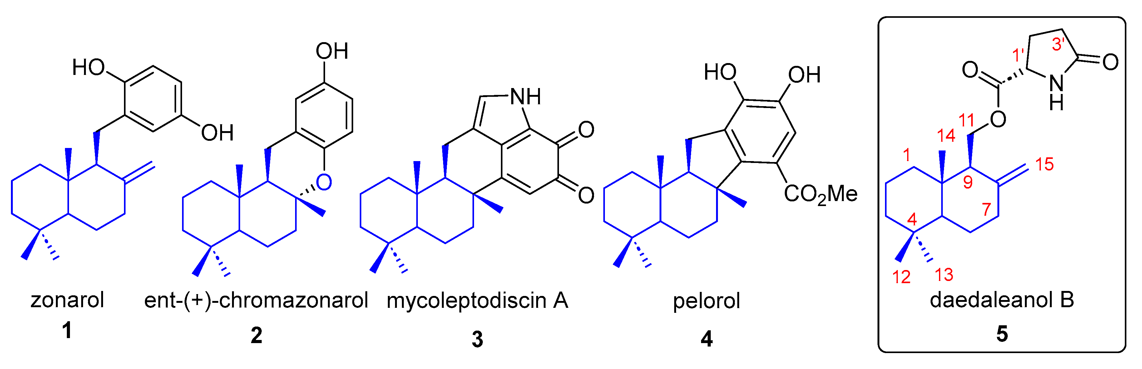 Molecules 31 00185 g001 Molecules 31 00185 g001