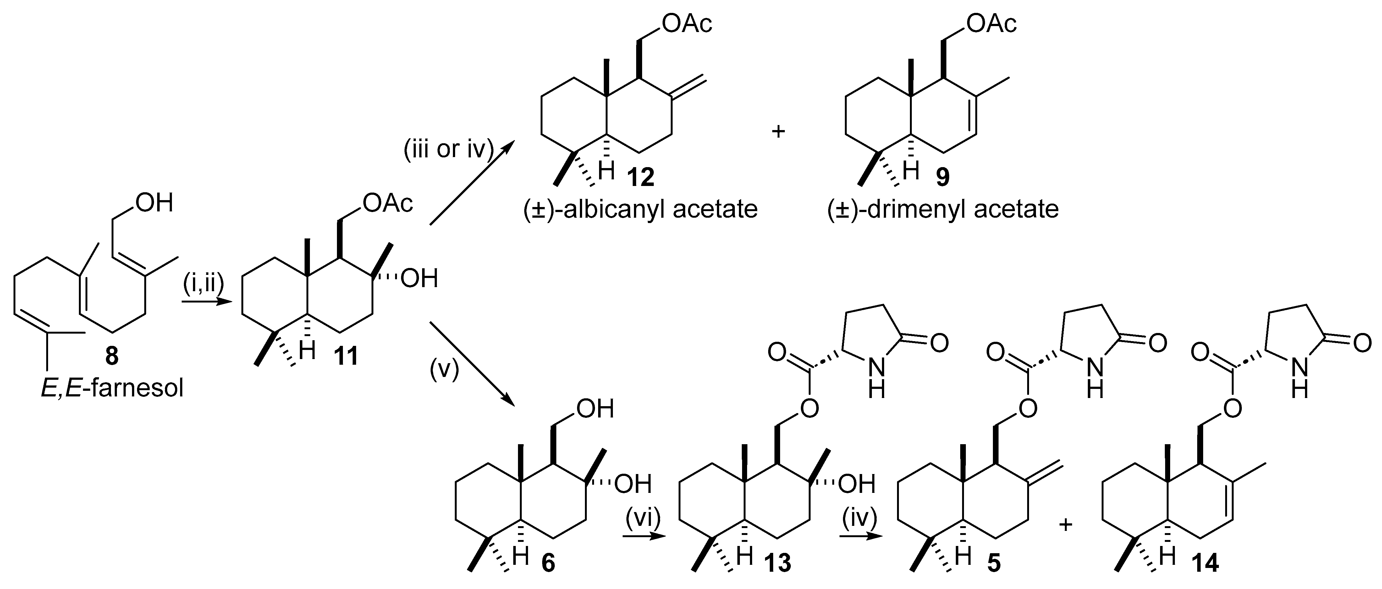 Molecules 31 00185 sch003 Molecules 31 00185 sch003