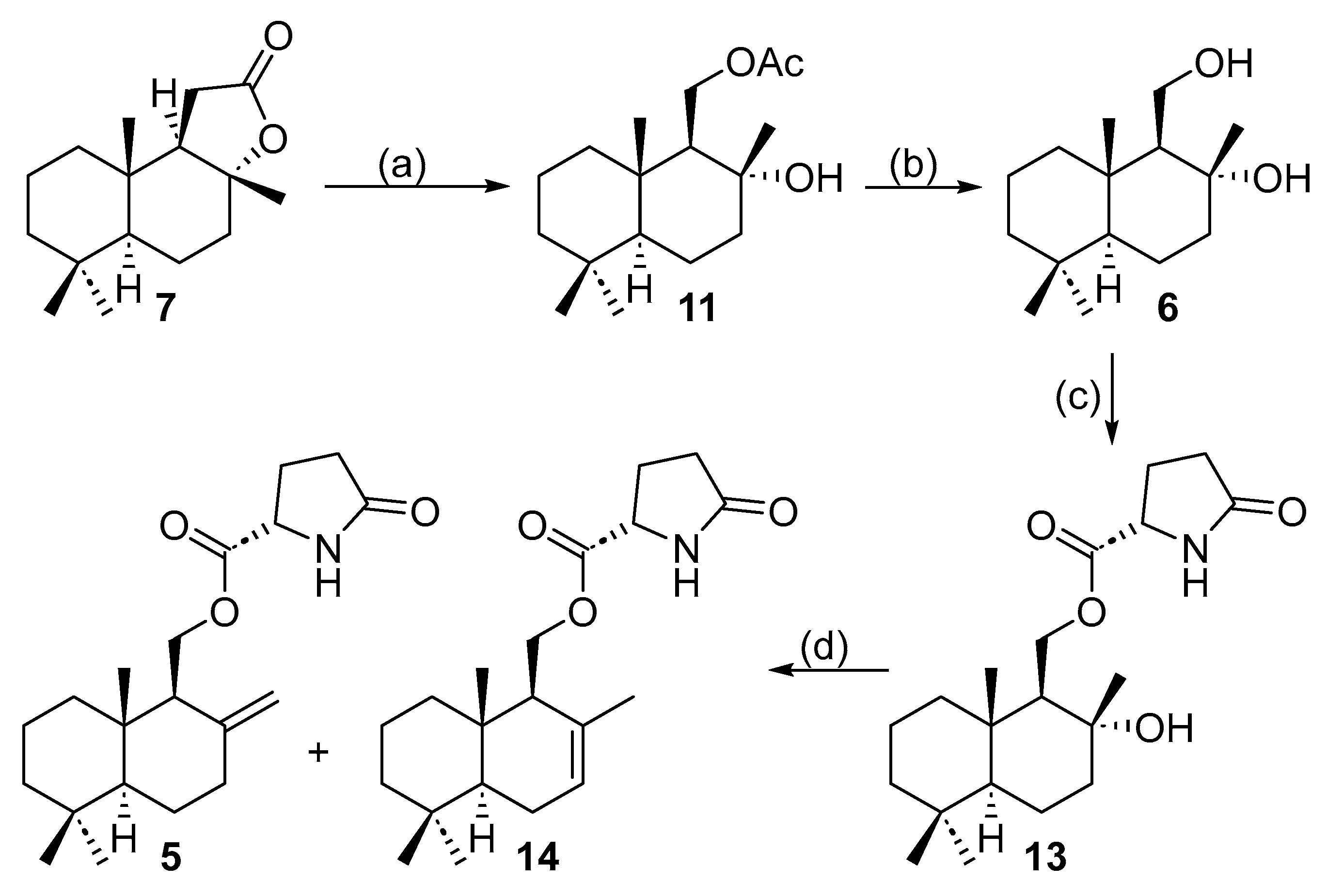 Molecules 31 00185 sch005 Molecules 31 00185 sch005