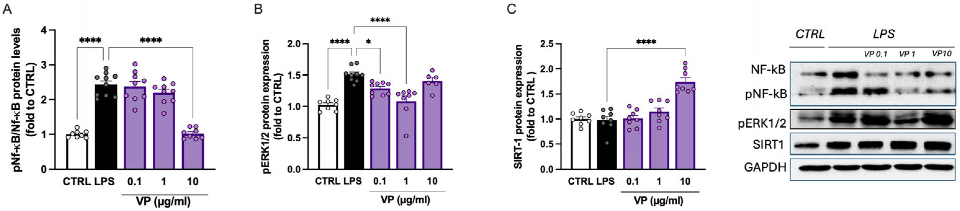 Molecules 31 00196 g005