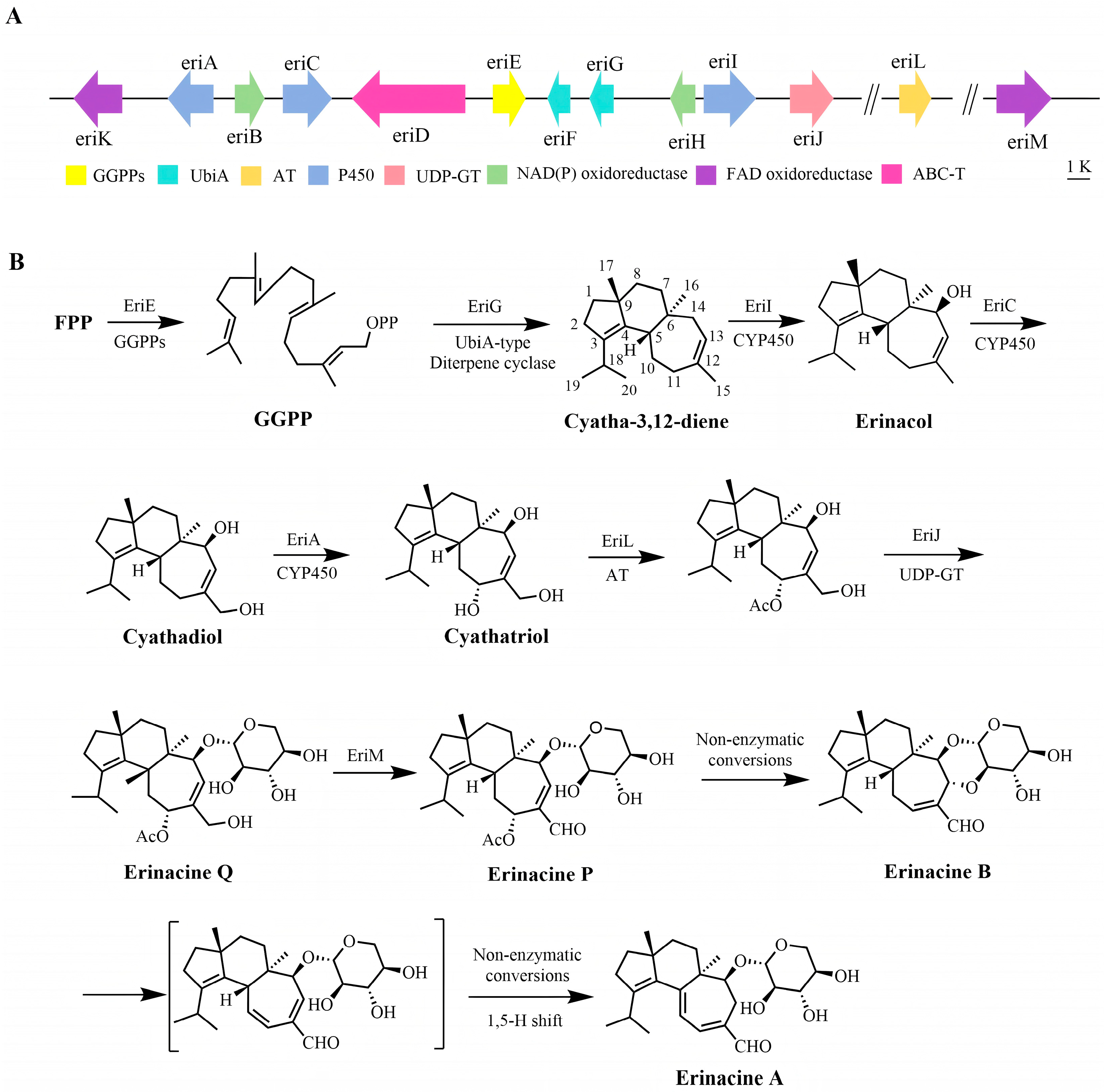 Molecules 31 00219 g003 Molecules 31 00219 g003