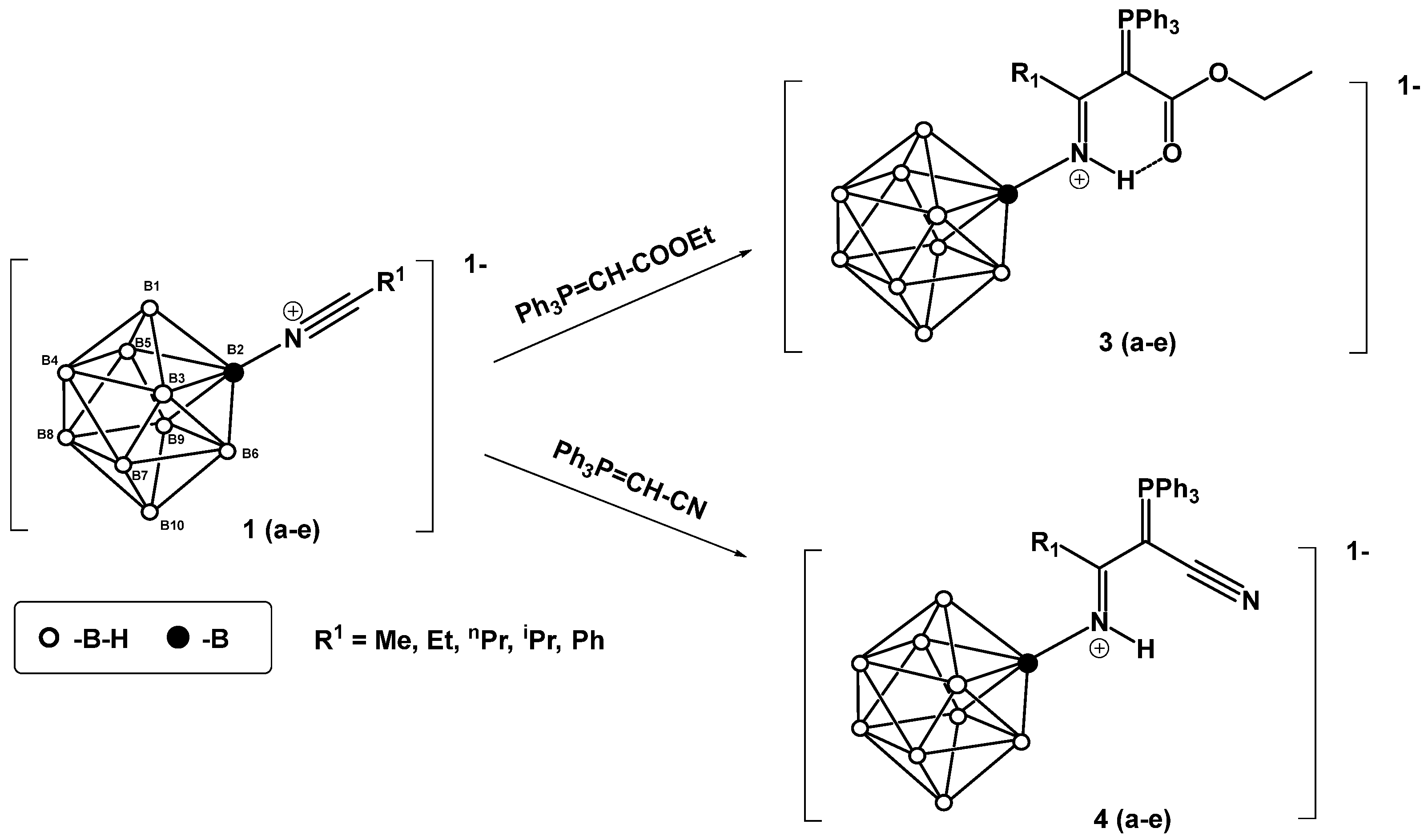 Molecules 31 00231 g001 Molecules 31 00231 g001