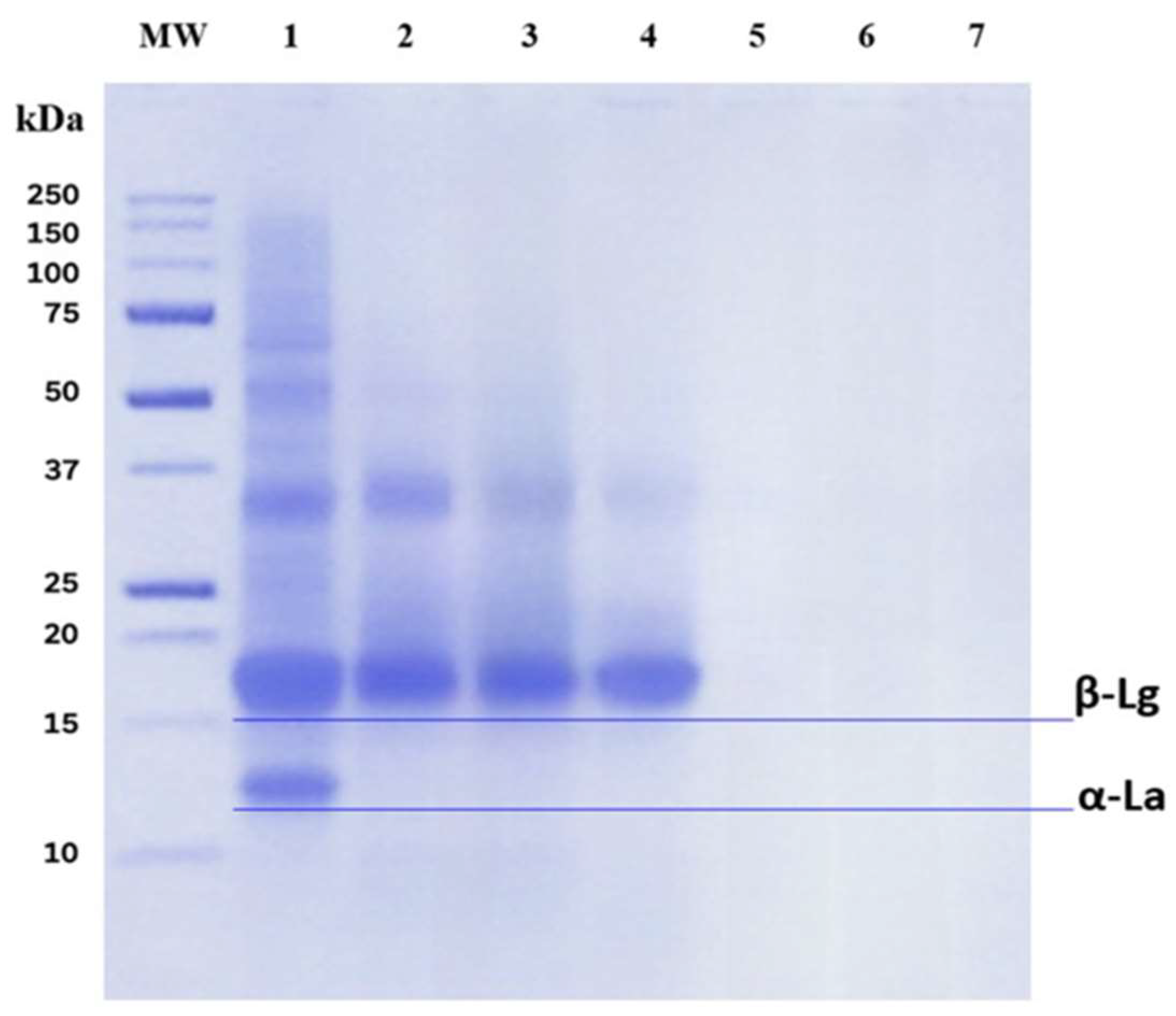 Molecules 31 00238 g002