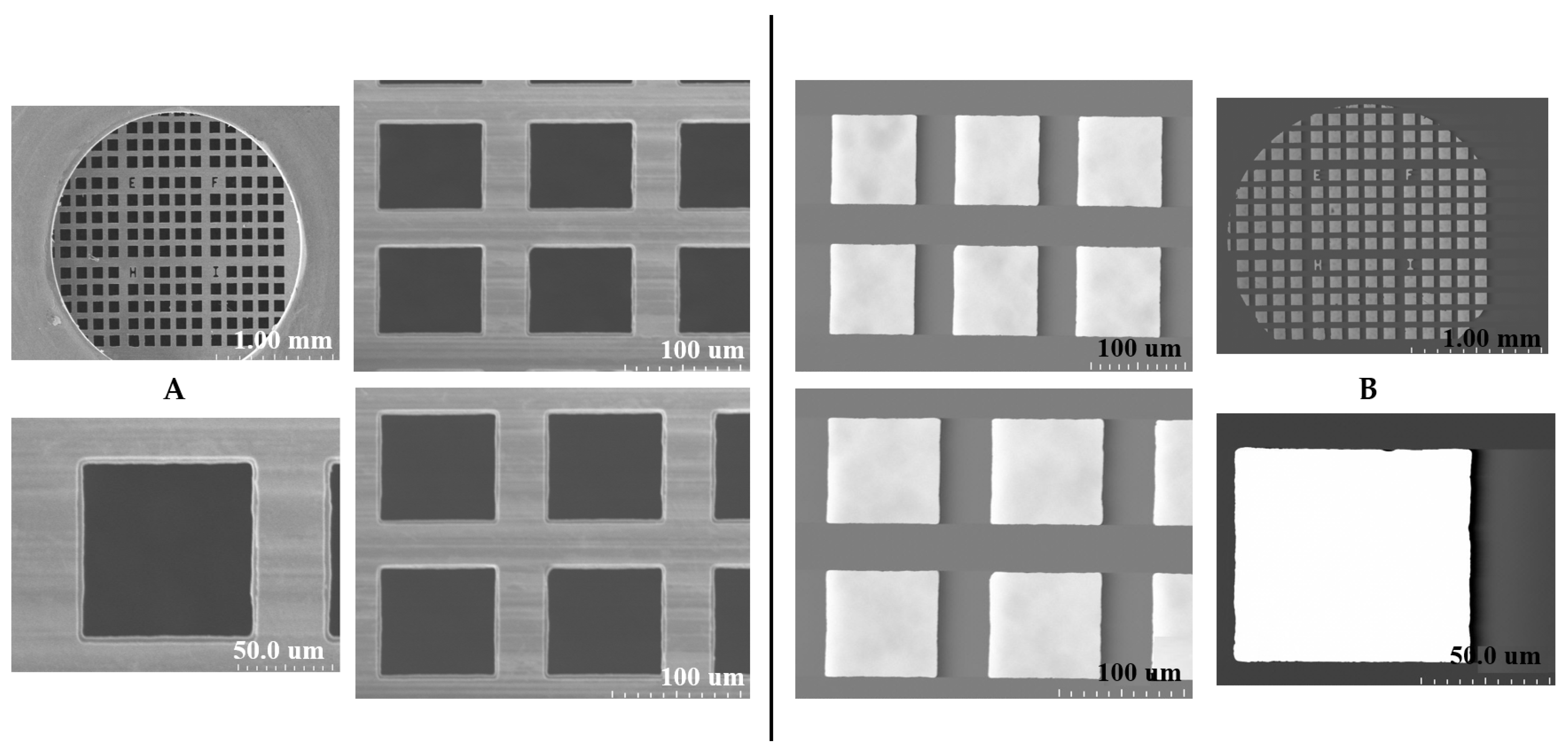 Molecules 31 00253 g001 Molecules 31 00253 g001