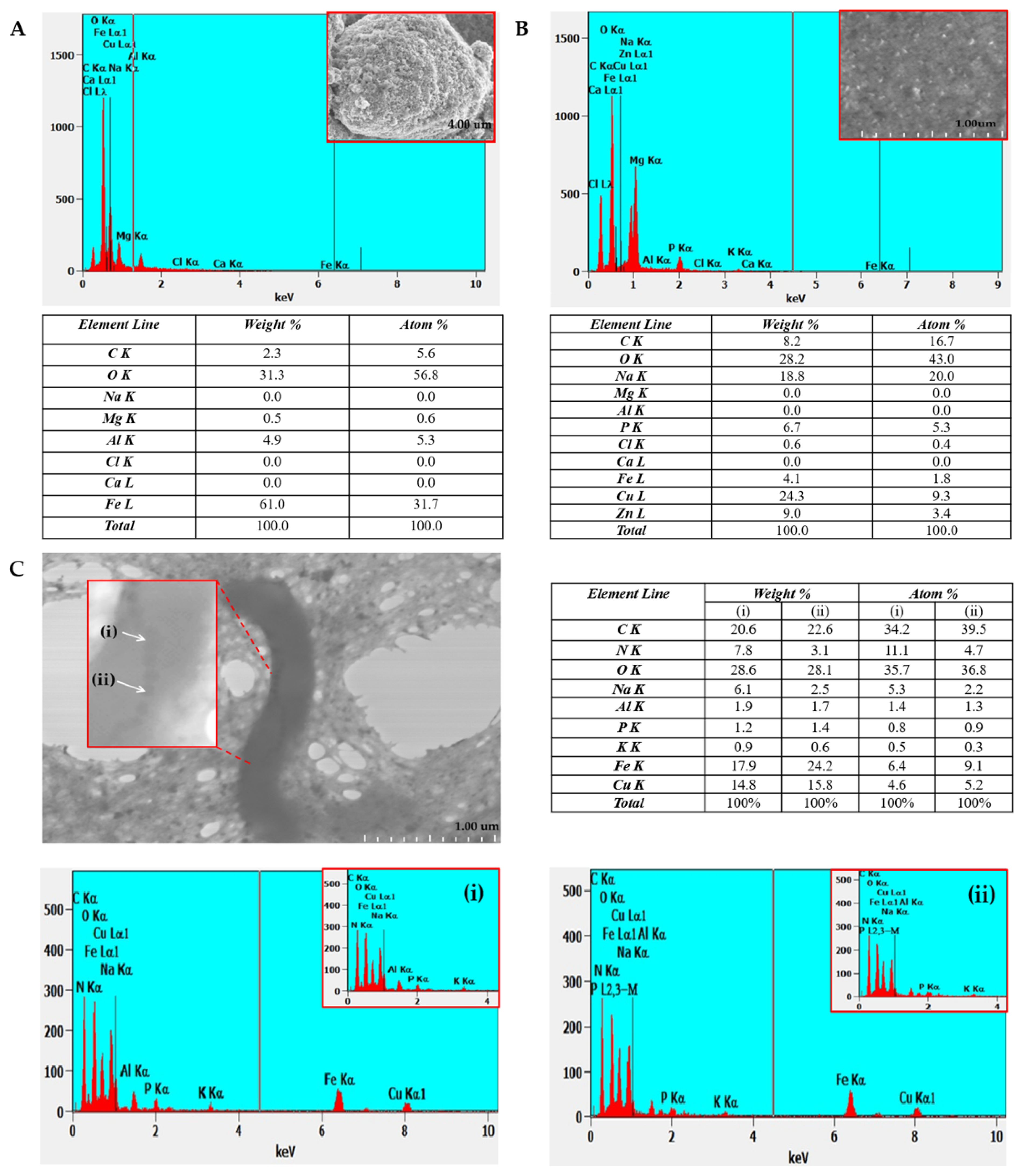 Molecules 31 00253 g005 Molecules 31 00253 g005