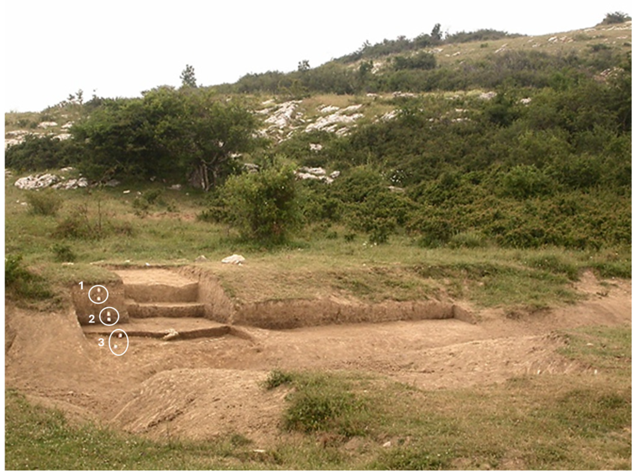 Molecules 31 00274 g001