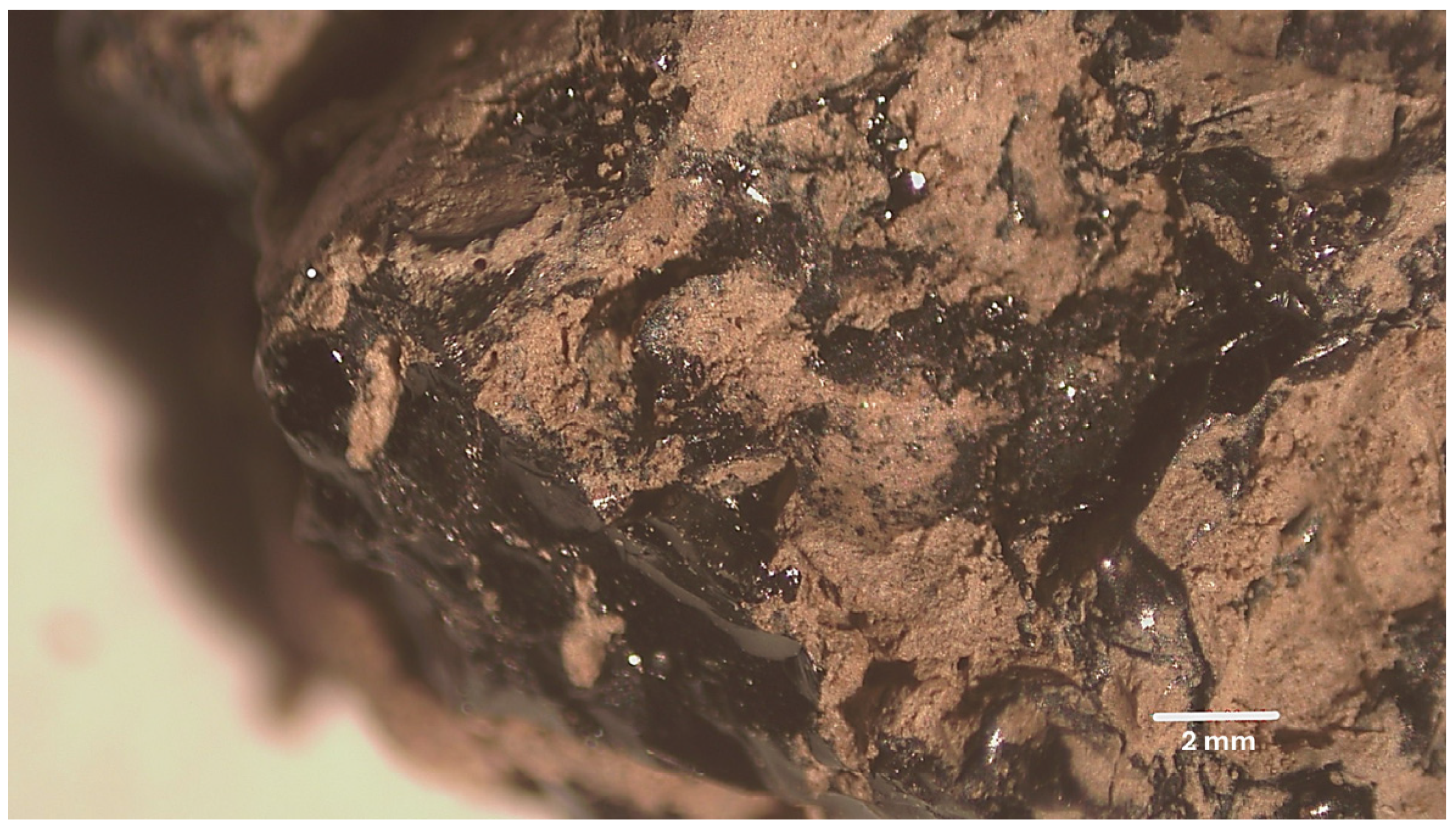 Molecules 31 00274 g007