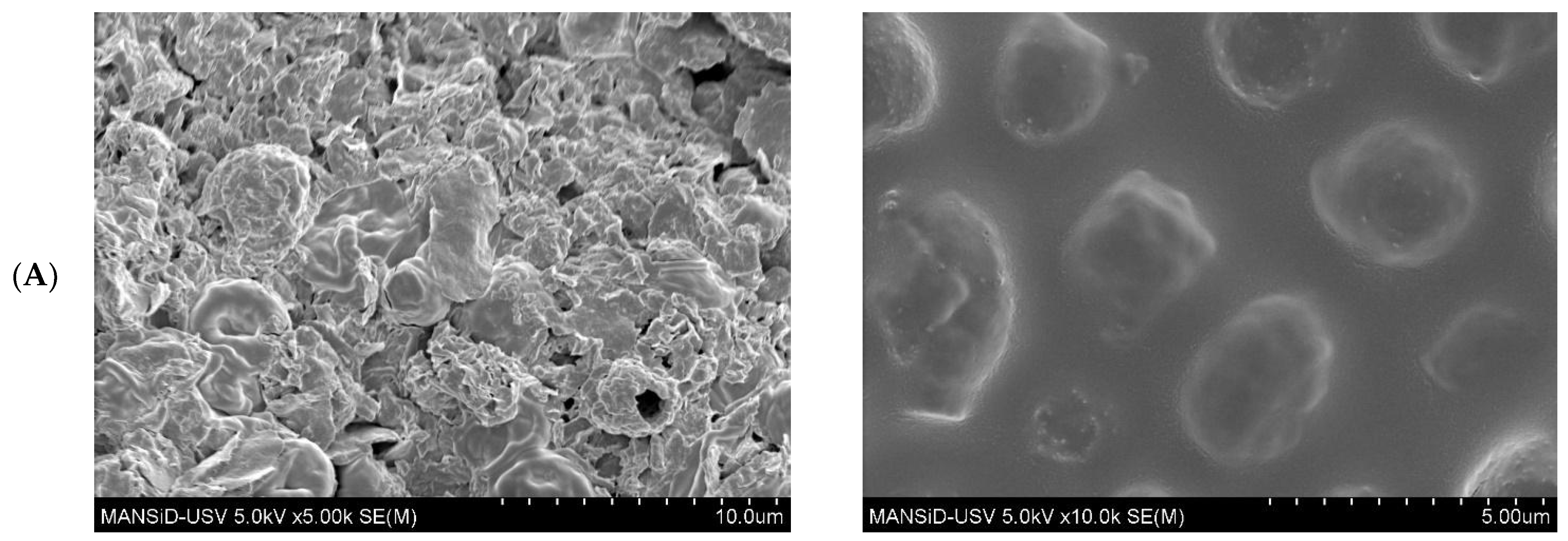 Molecules 31 00280 g004a Molecules 31 00280 g004a