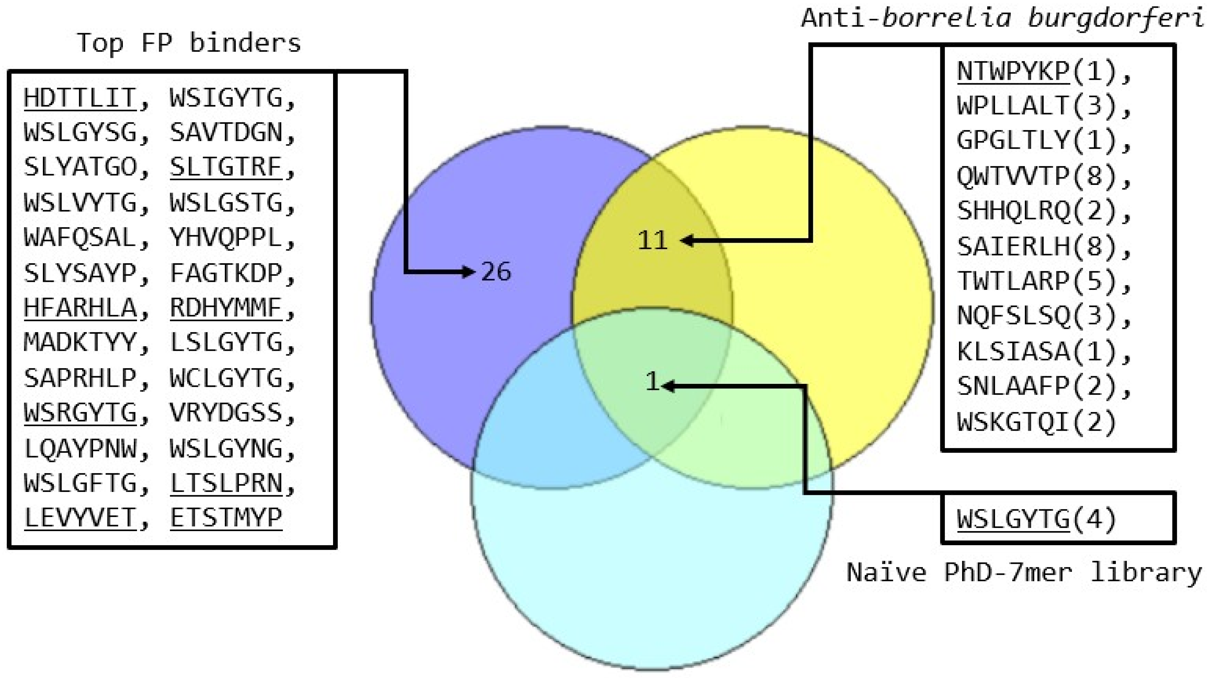 Molecules 31 00282 g001