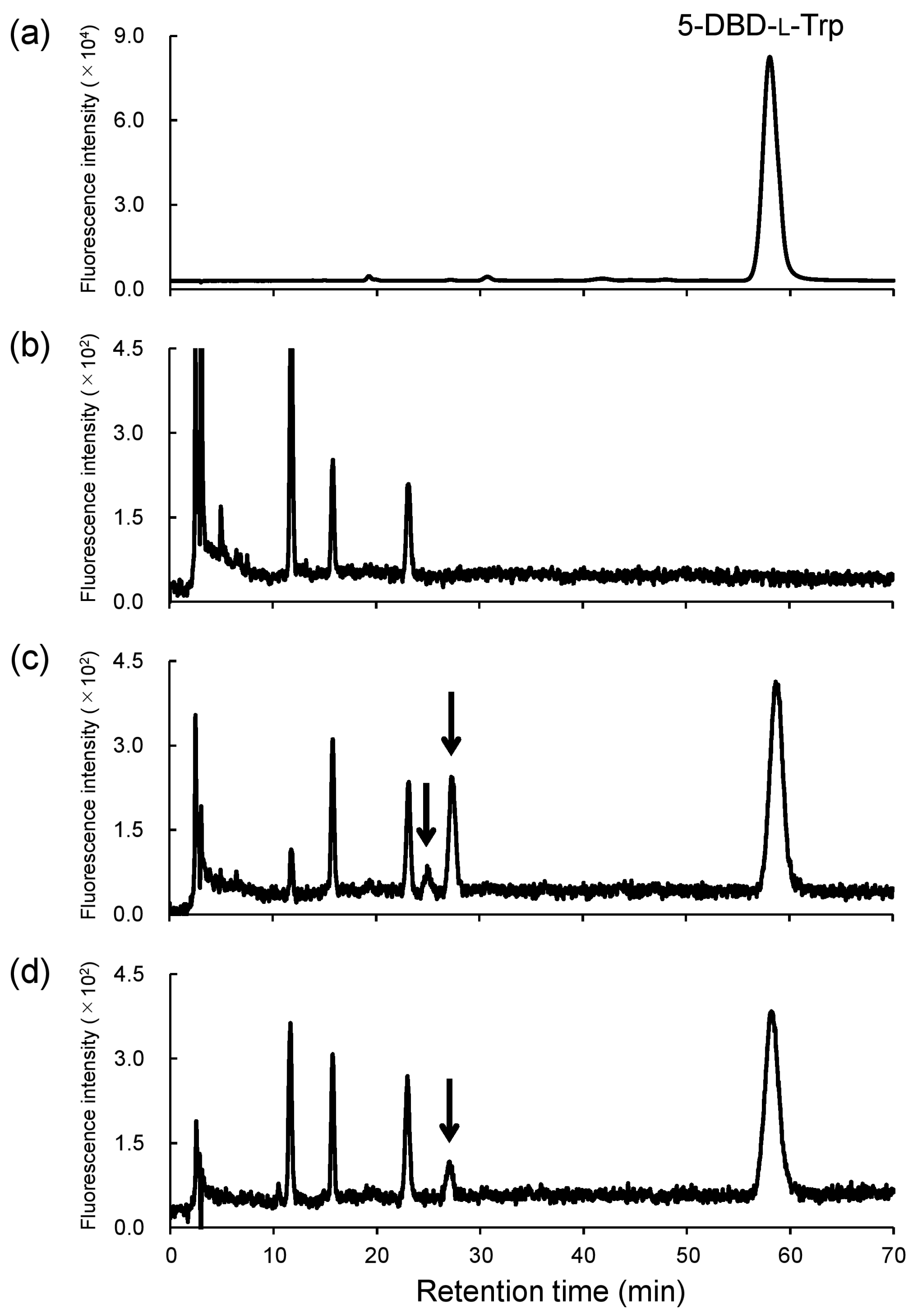 Molecules 31 00283 g003