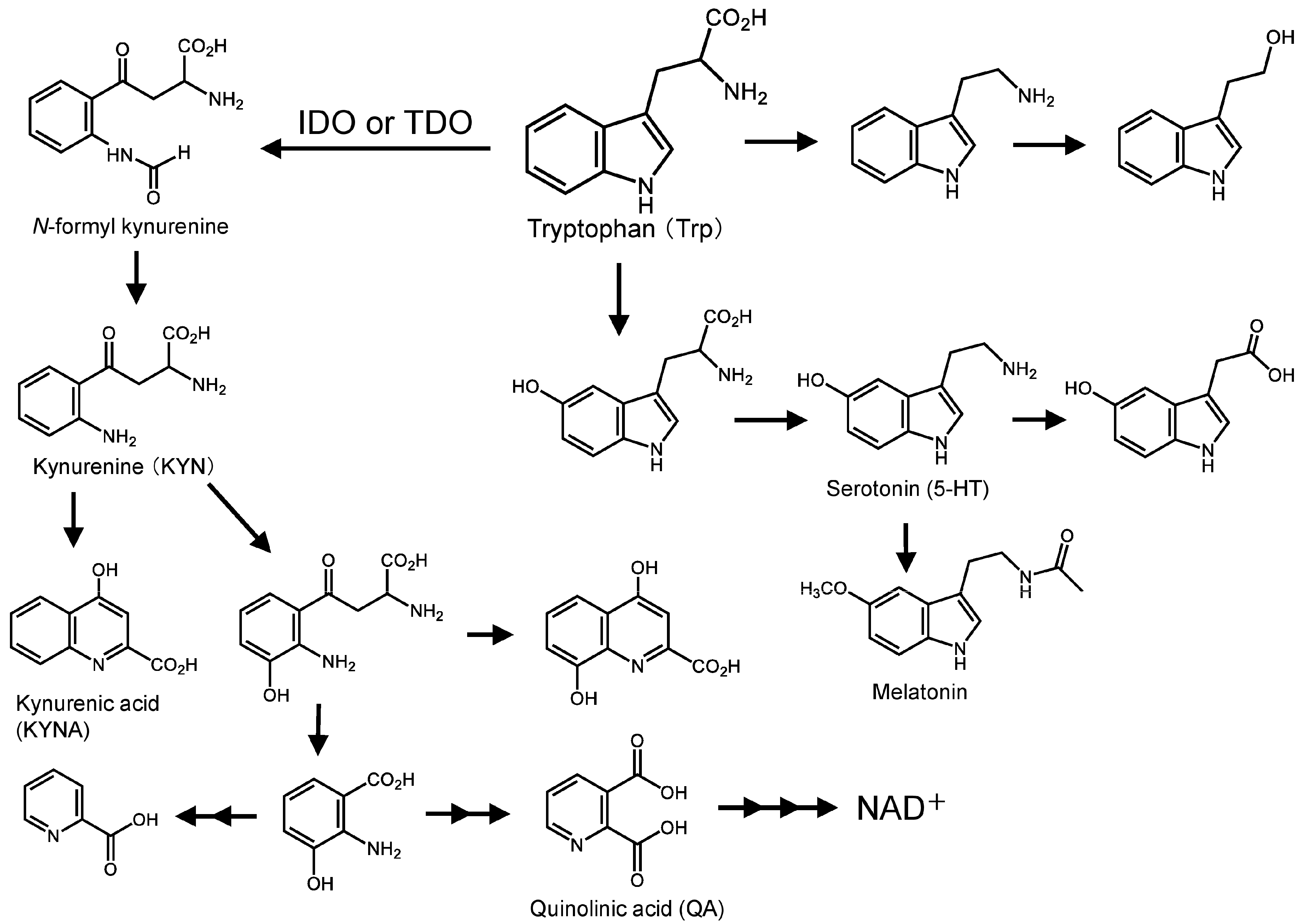Molecules 31 00283 sch001