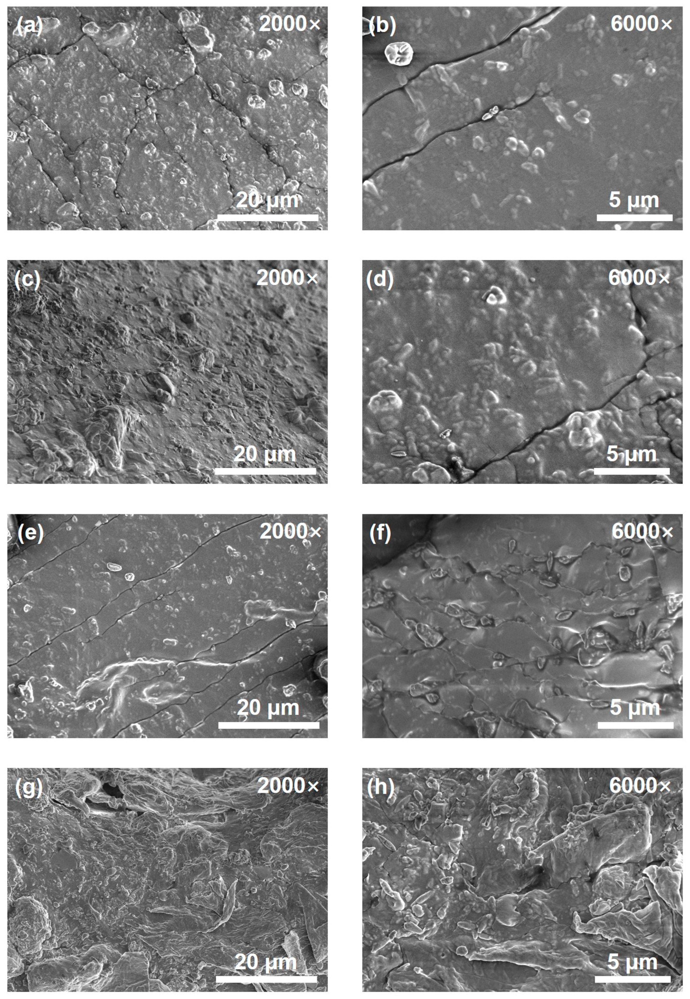 Molecules 31 00284 g005