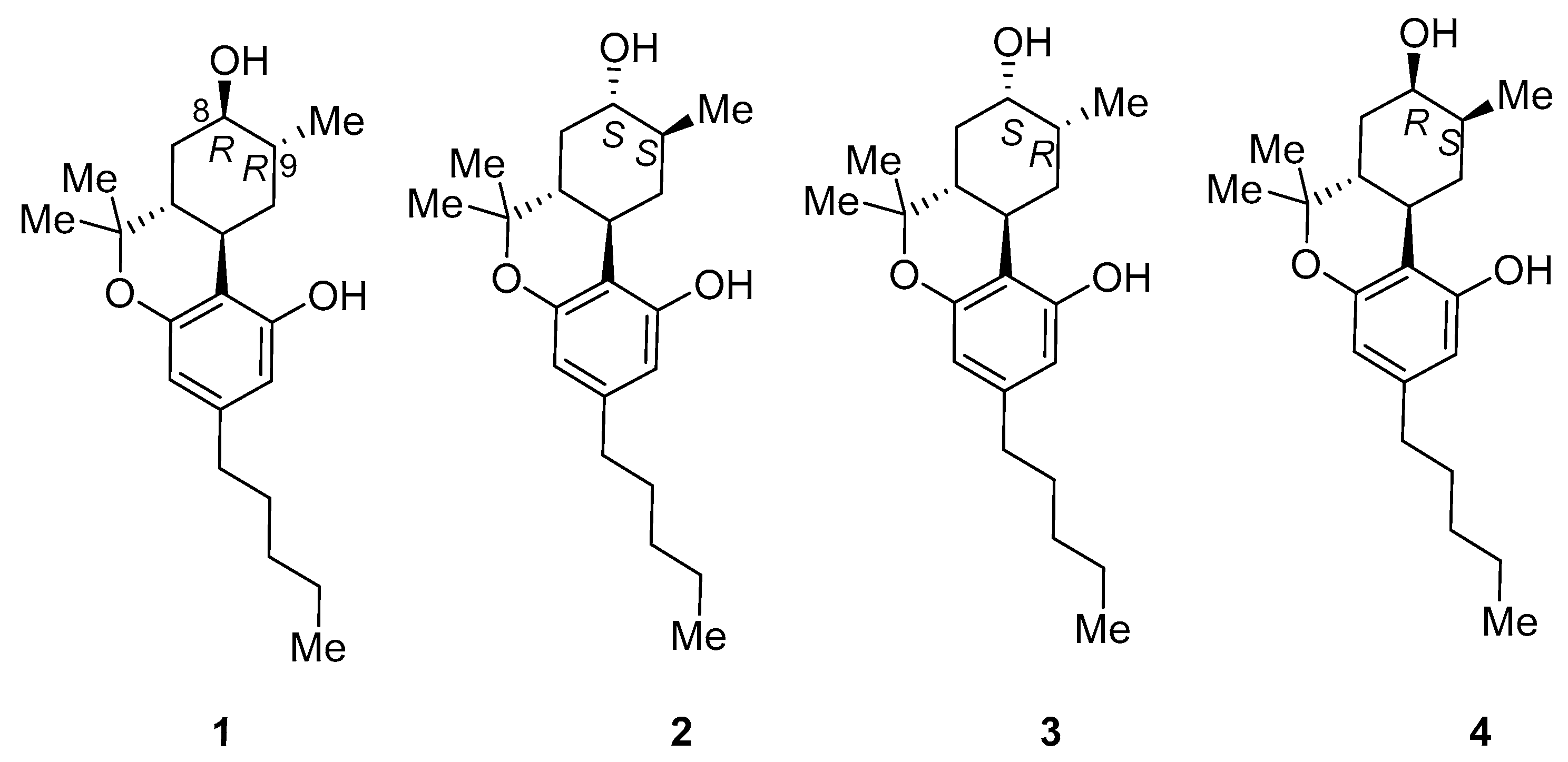 Molecules 31 00289 g002
