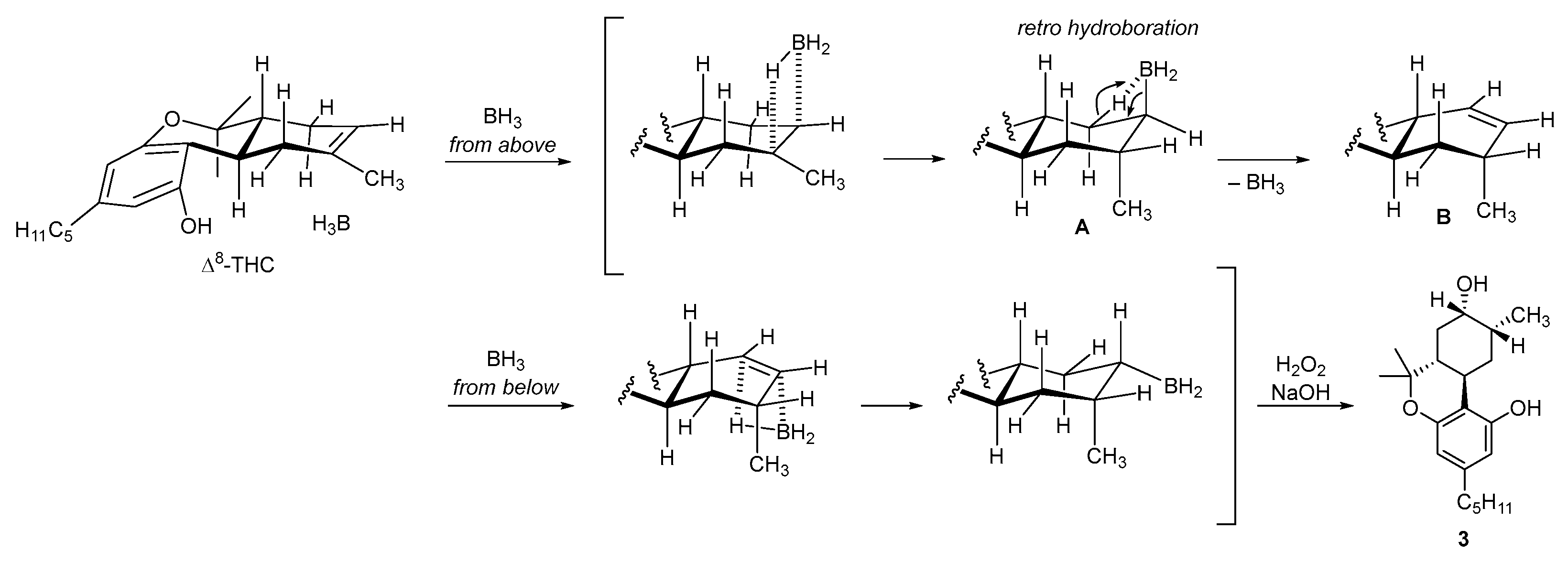 Molecules 31 00289 sch002