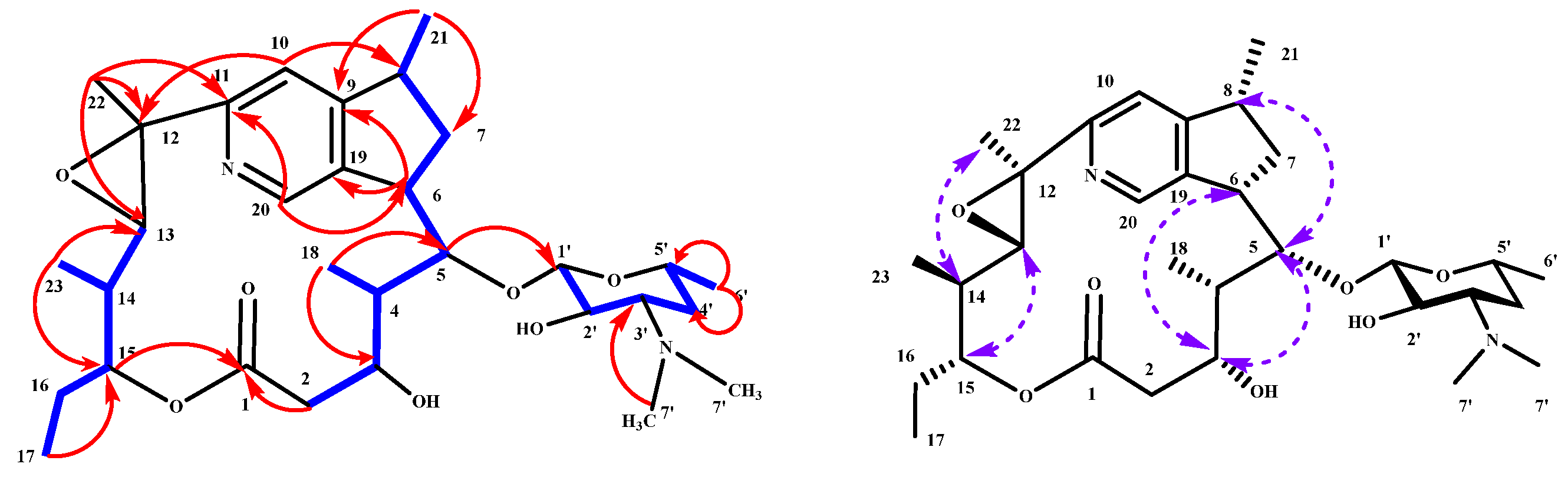 Molecules 31 00301 g004