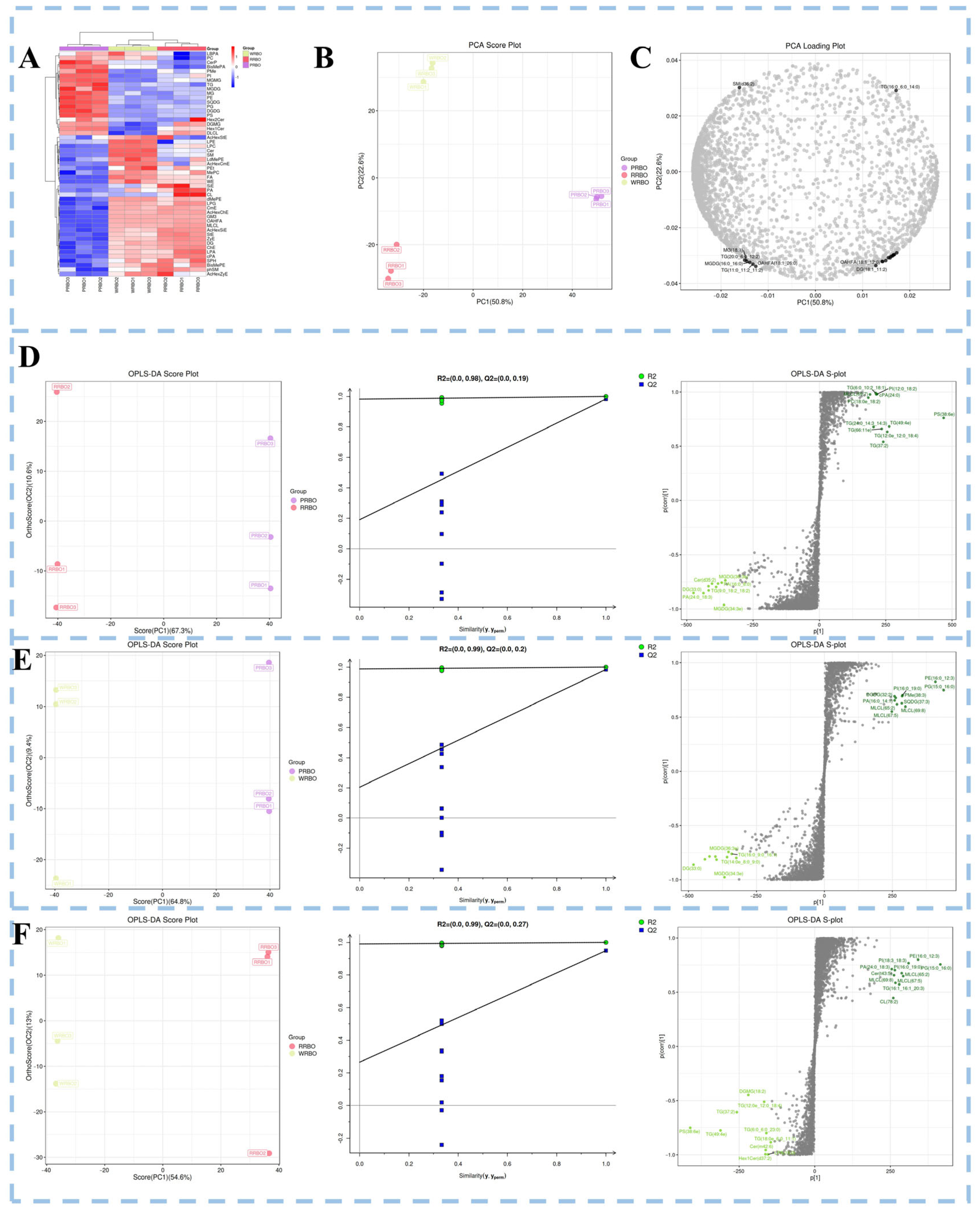 Molecules 31 00308 g003