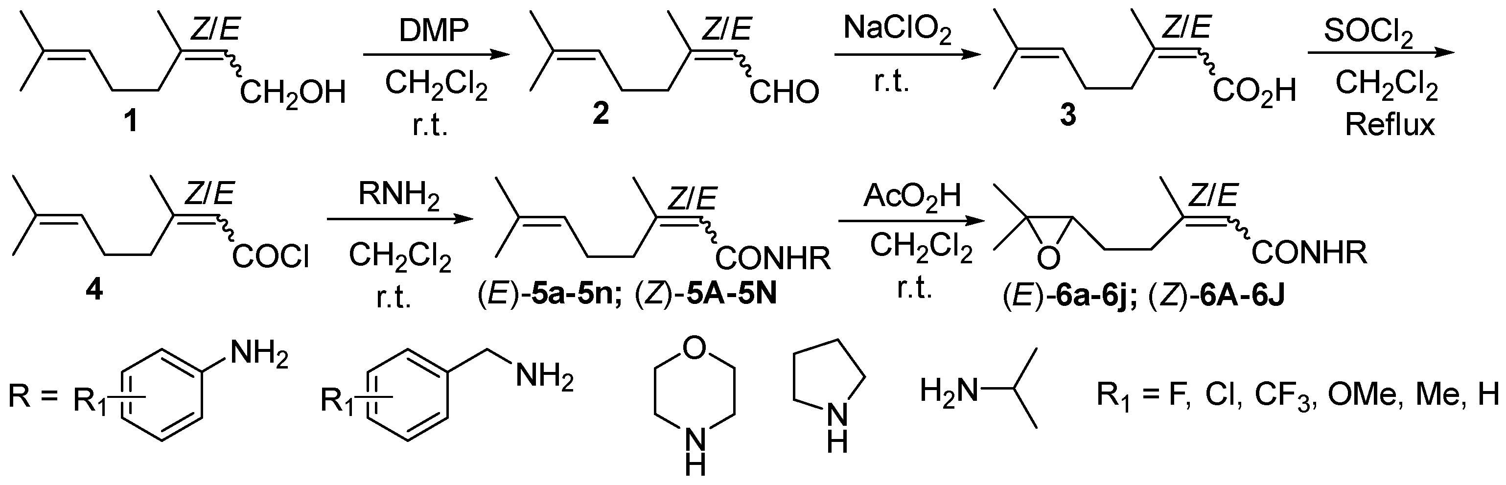 Molecules 31 00310 sch002 Molecules 31 00310 sch002