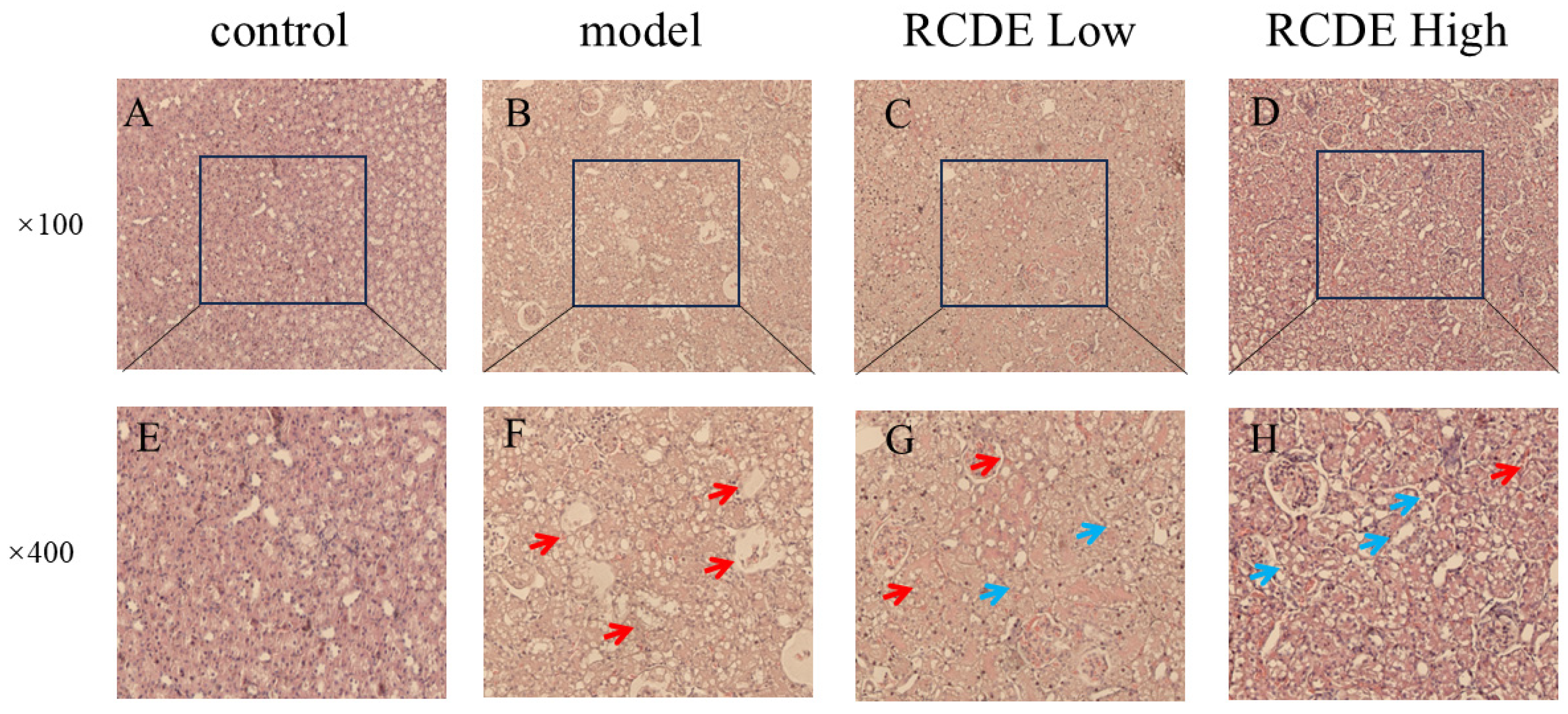 Molecules 31 00316 g003