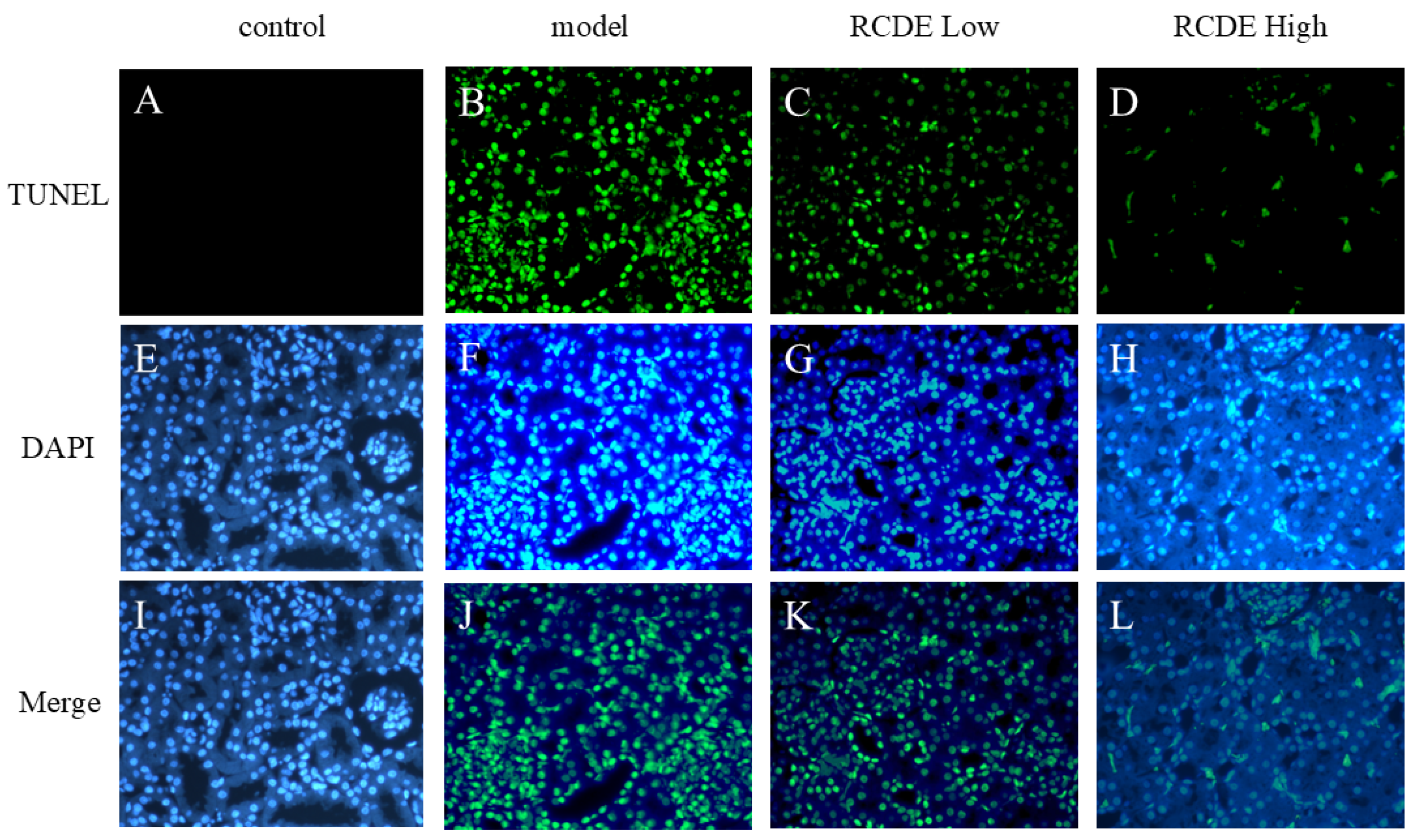 Molecules 31 00316 g005
