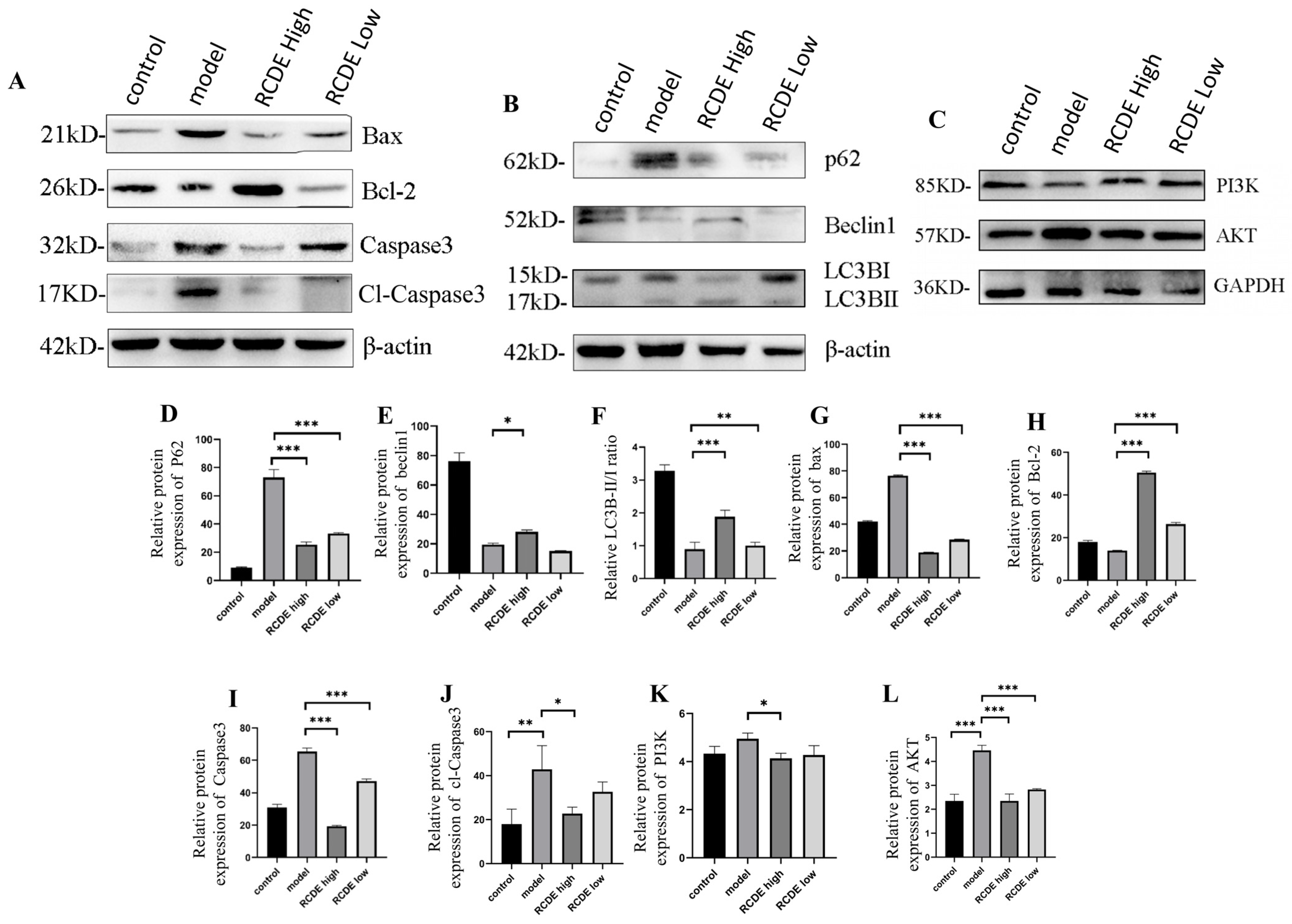Molecules 31 00316 g006