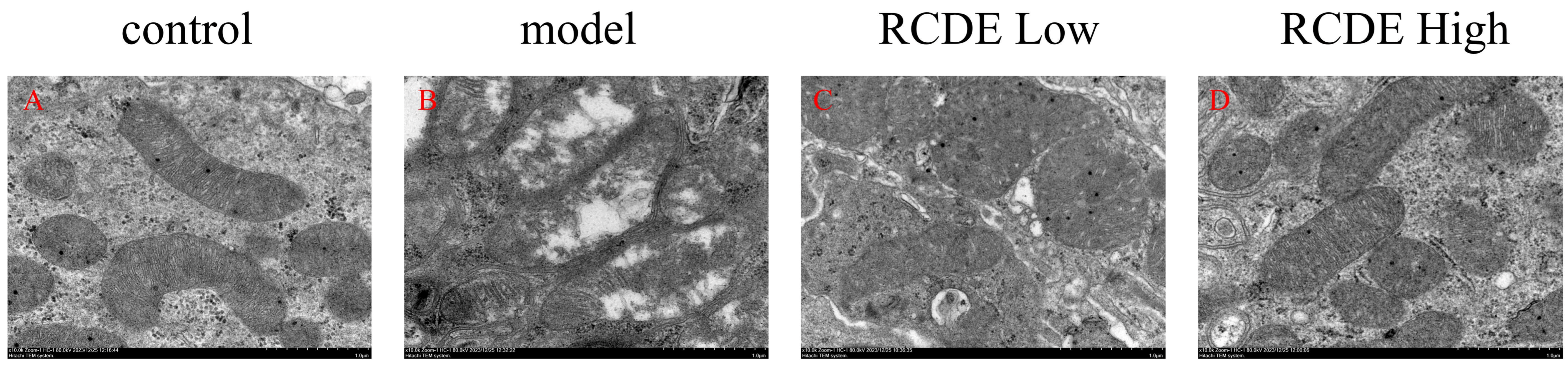 Molecules 31 00316 g007