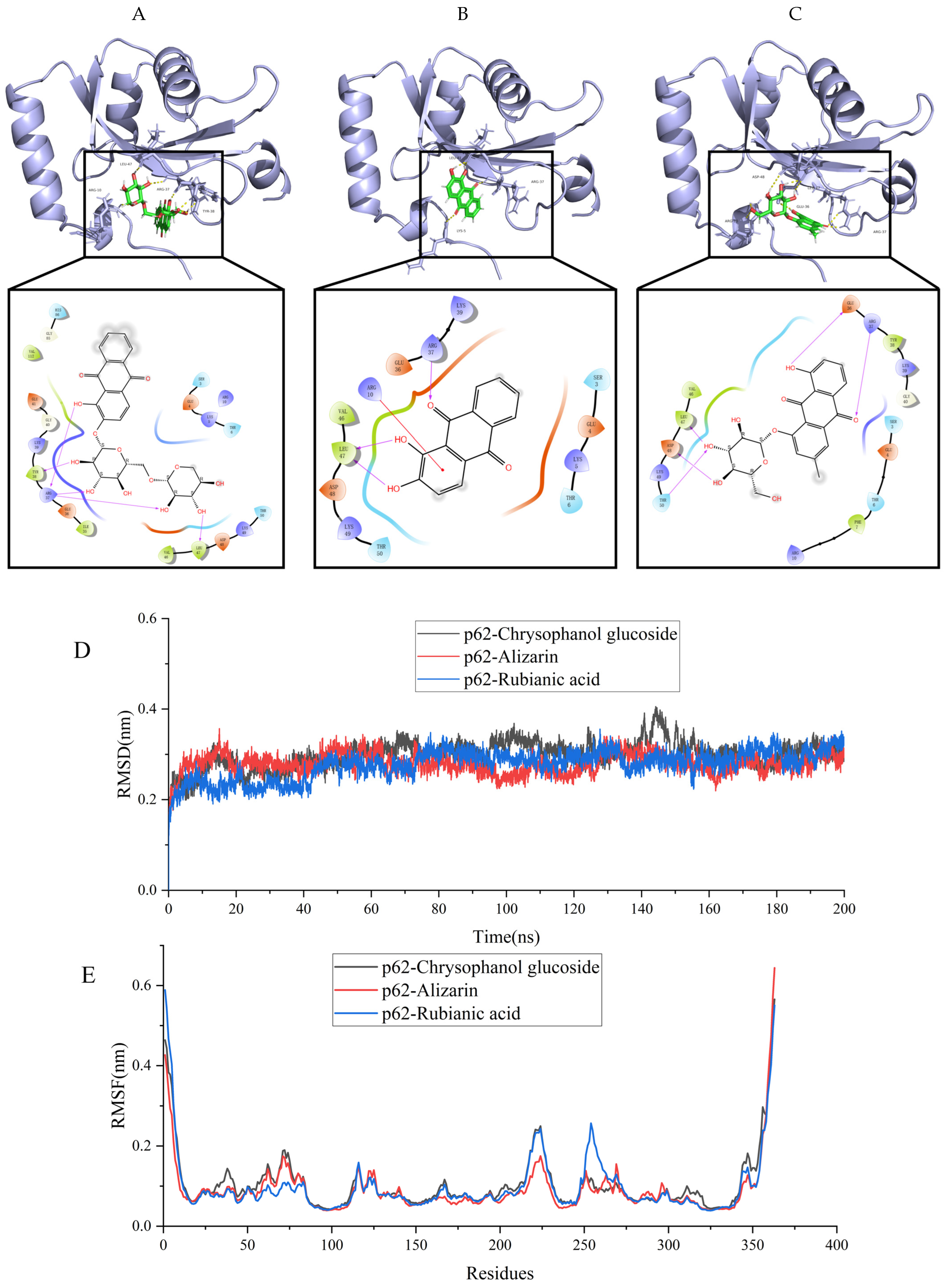 Molecules 31 00316 g008