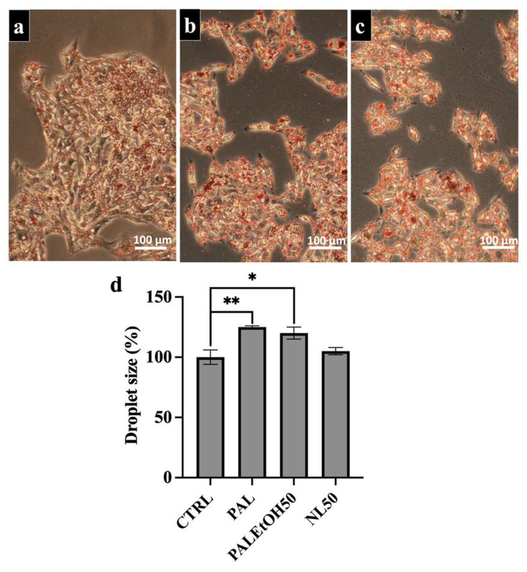 Molecules 31 00323 g004
