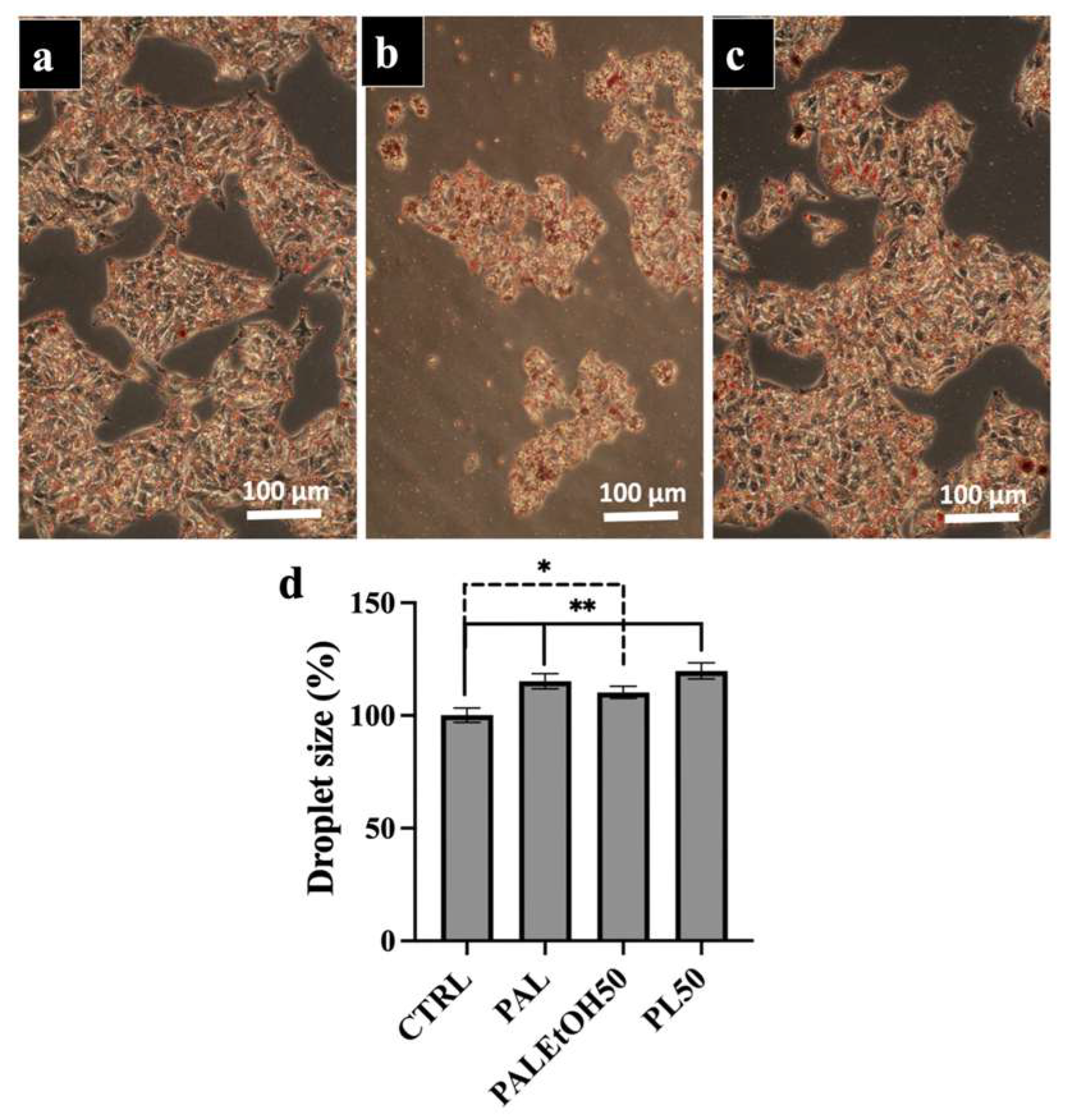 Molecules 31 00323 g005