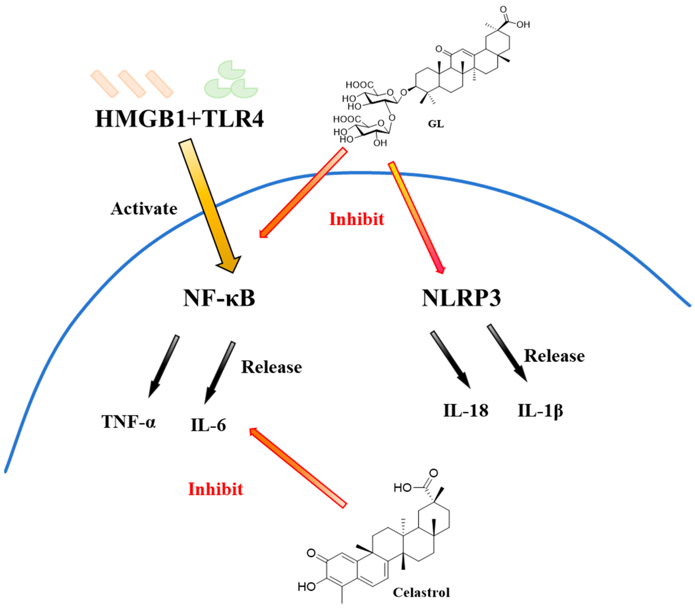 Molecules 31 00325 g013 Molecules 31 00325 g013